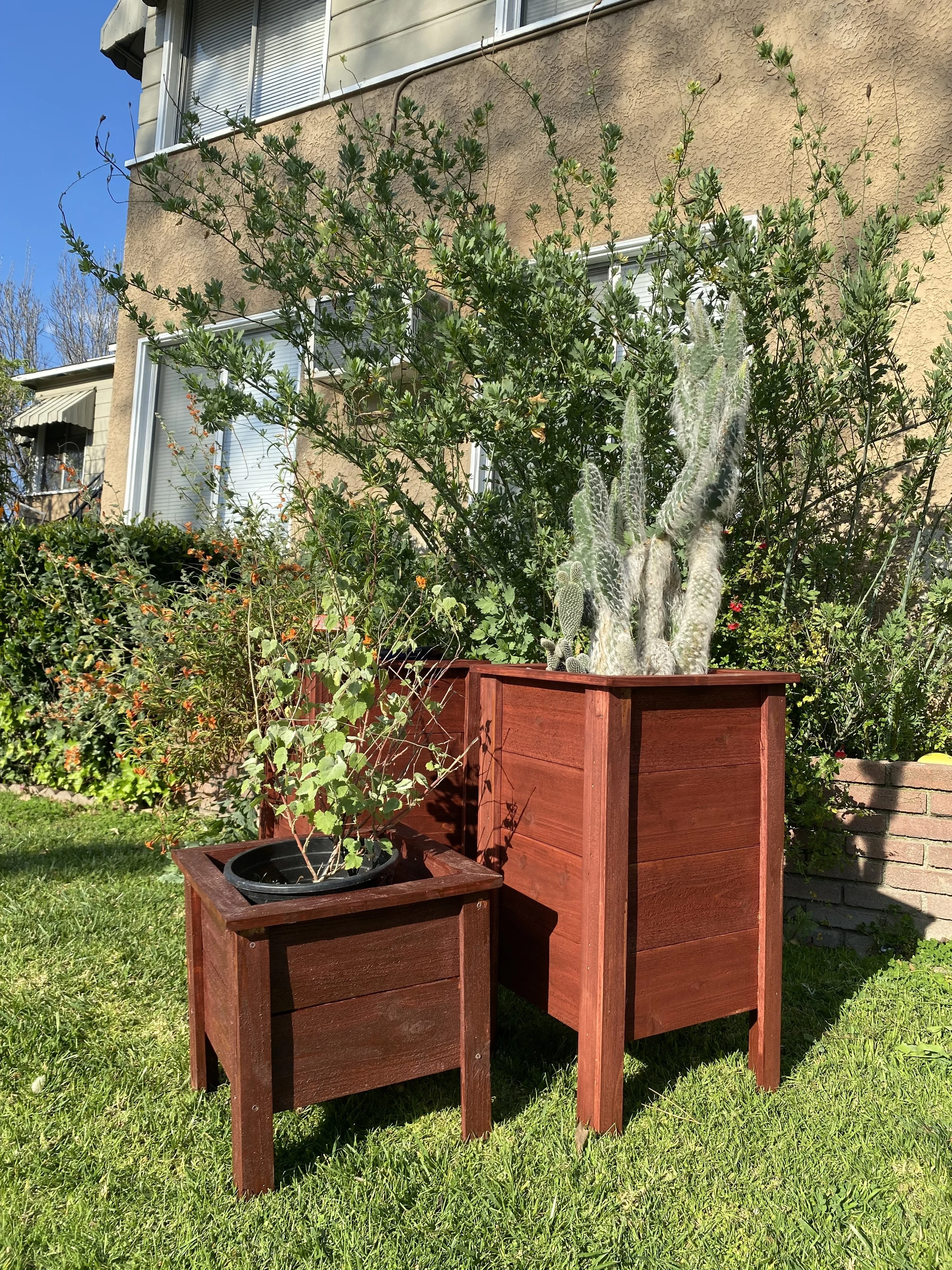 Planter Boxes & Trellises