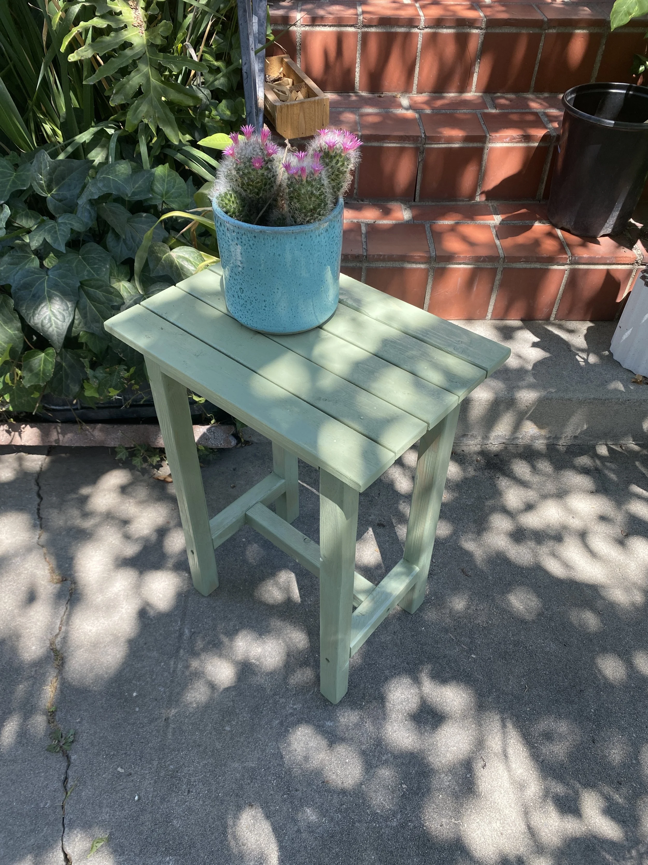 Photo Jul 27 2024, 2 25 59 PM.jpg