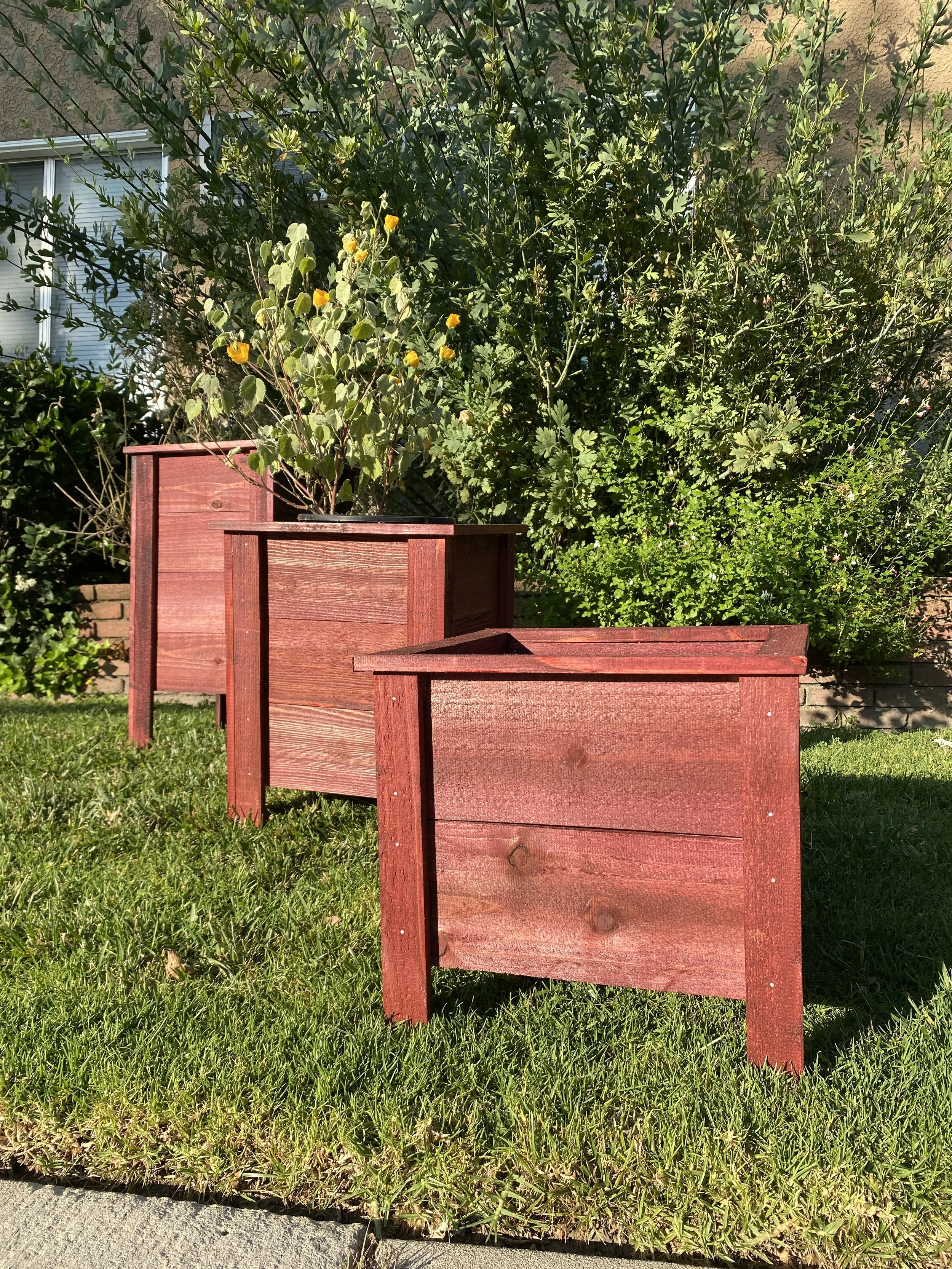 Photo May 18 2024, 6 30 35 PM.jpg