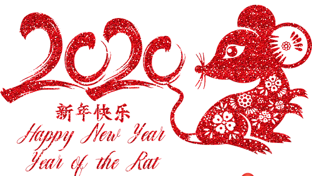 Happy New Year 2020!!! Year of the Rat! 新年快乐 