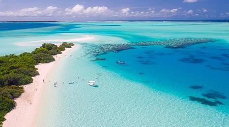 新年の抱負ベスト10は？