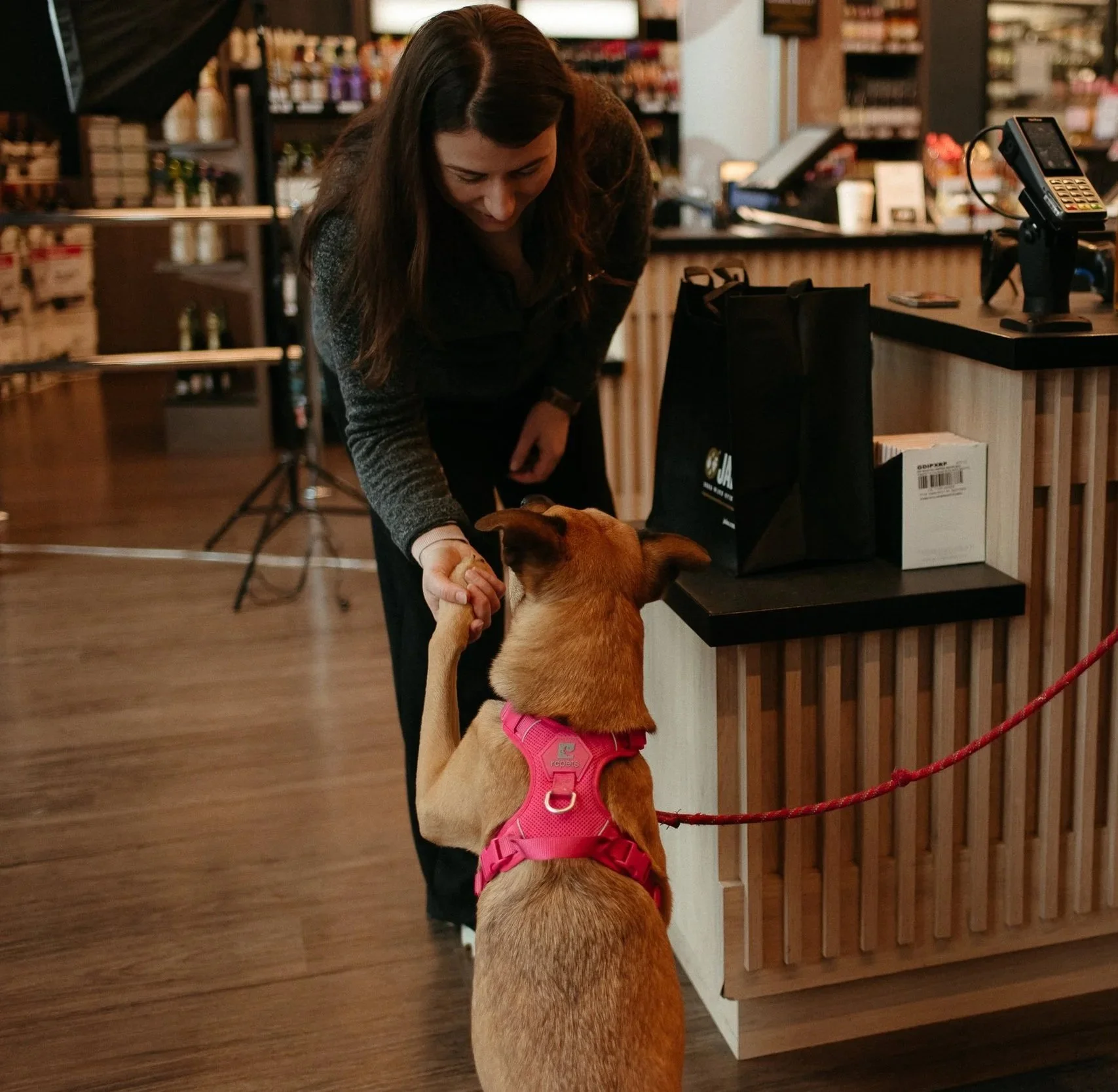 JAK's Beer Wine Spirits staff member giving a treat to a dog in a pink harness at the store counter in Vancouver