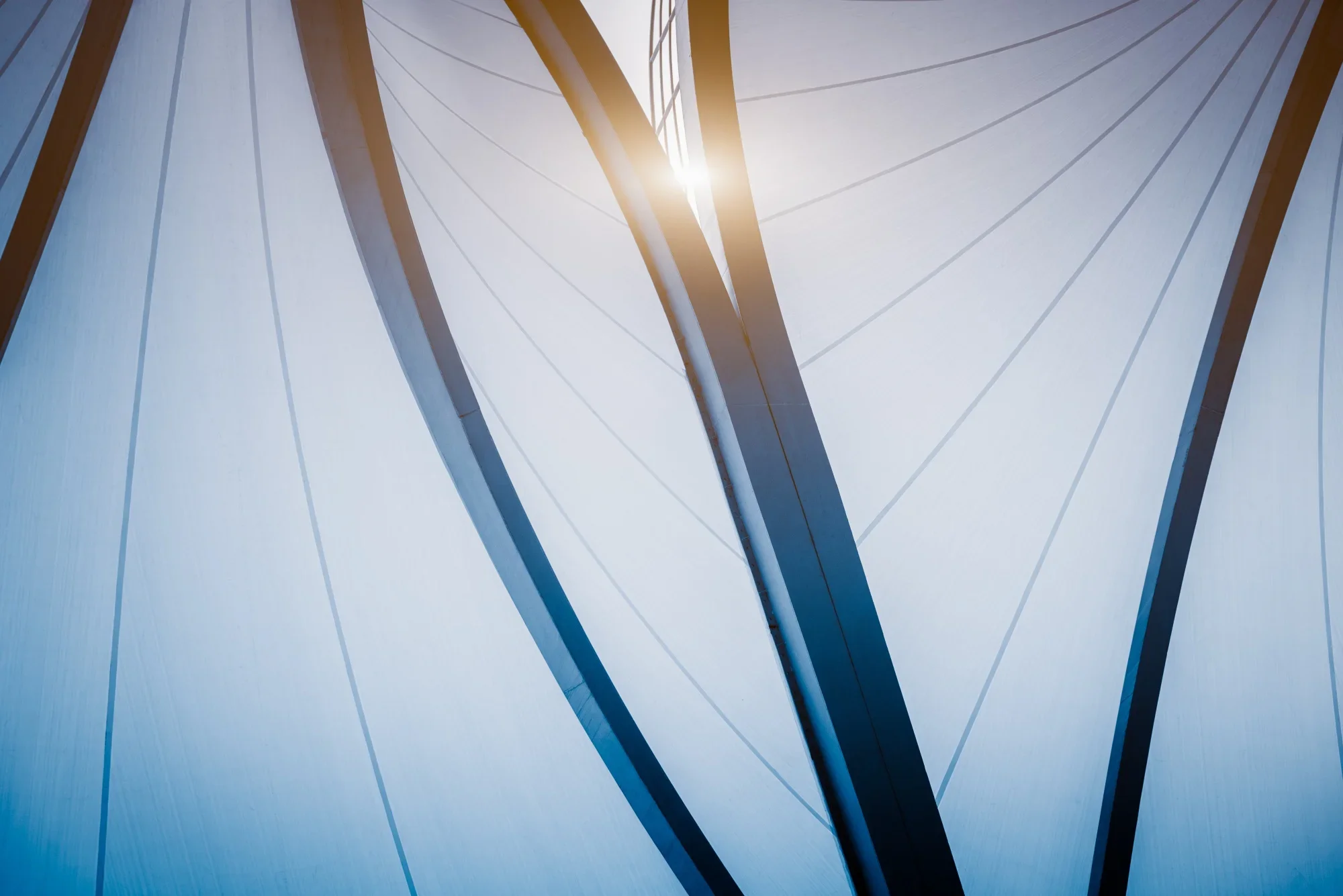 Close-up view of a modern architectural structure with curved beams and cables, with sunlight shining through.