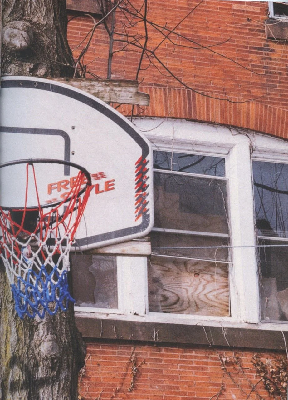hoop dreams 2 Large.jpeg