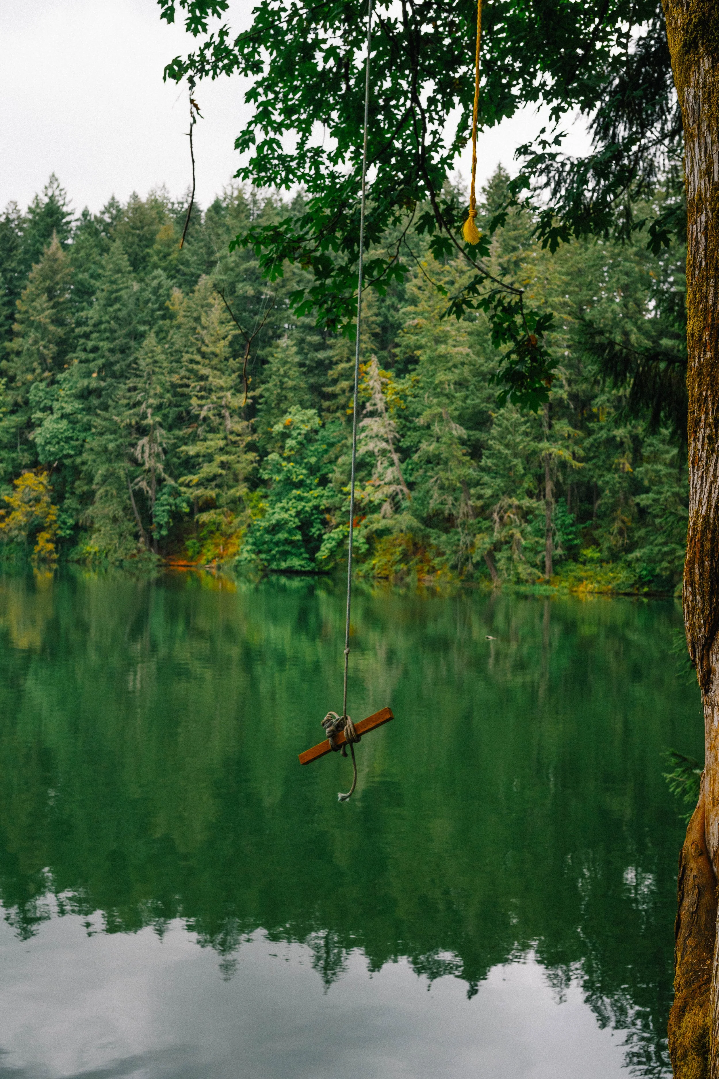 Return (13 of 13).jpg