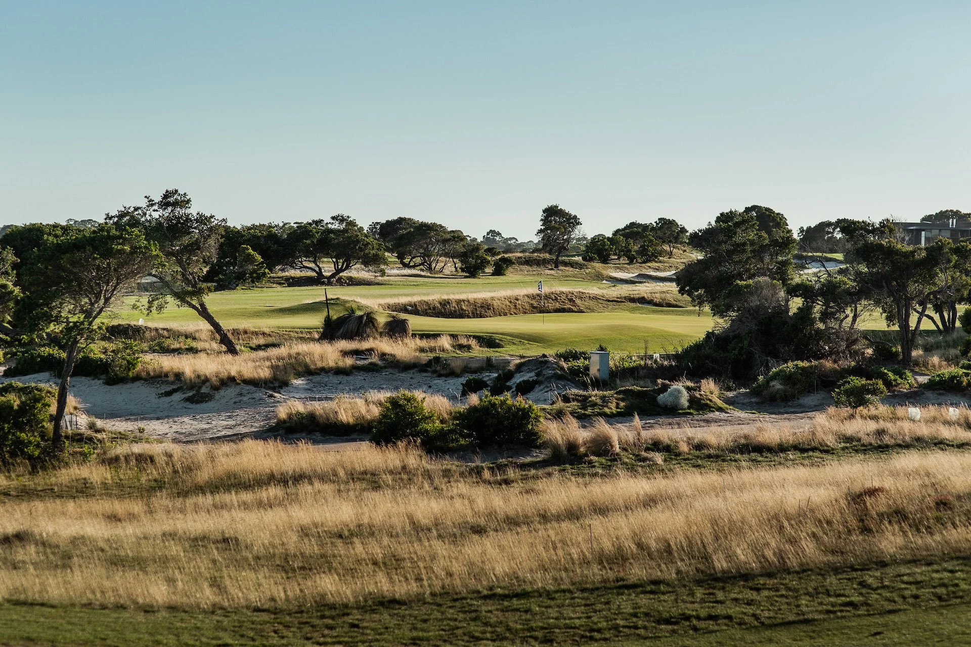 Where does your course knowledge live?