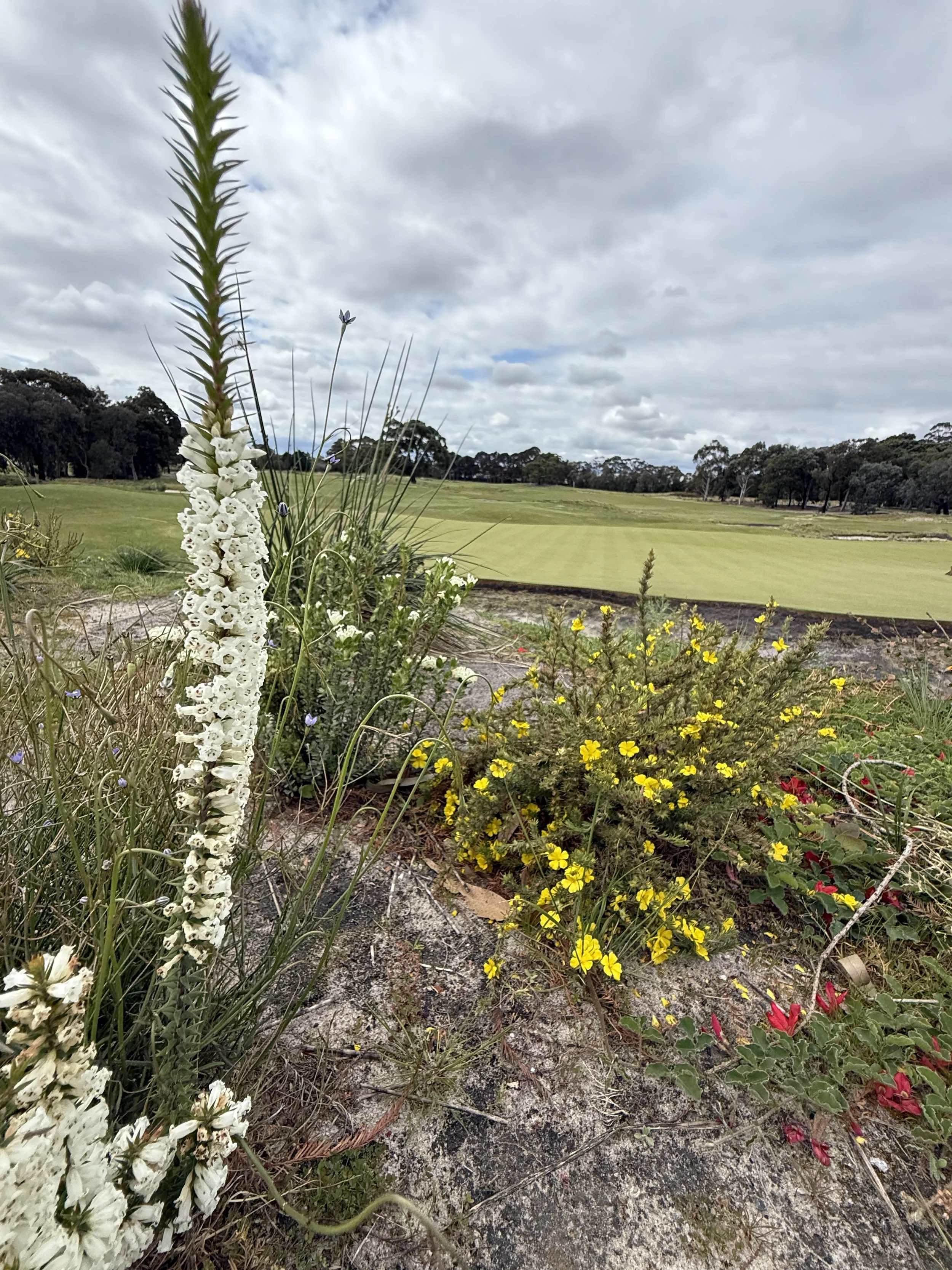 Huntingdale maps the next chapter of its course