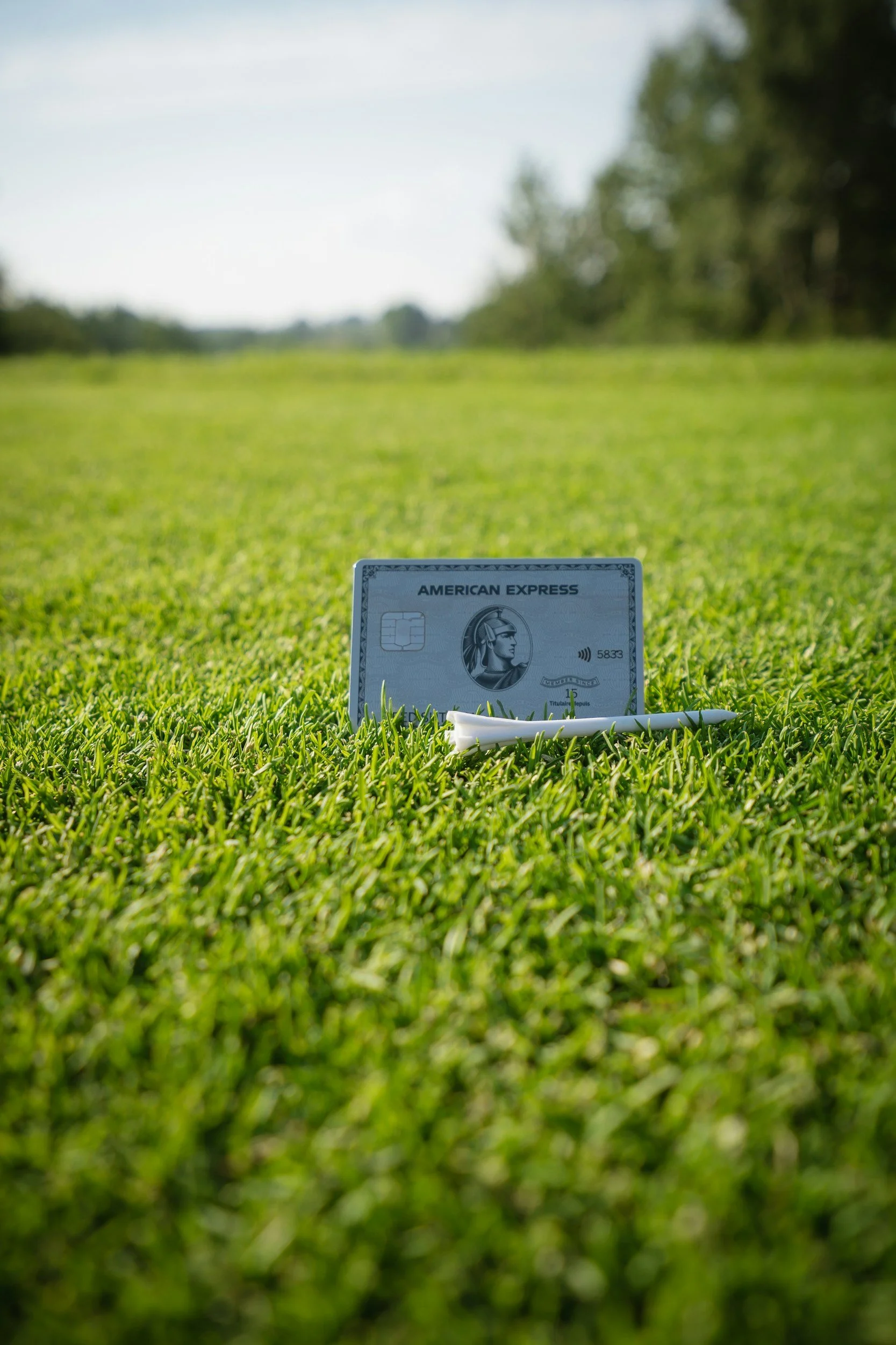 A American Express Platinum credit card placed upright in the grass with a white stylus next to it, outdoors with trees in the background.