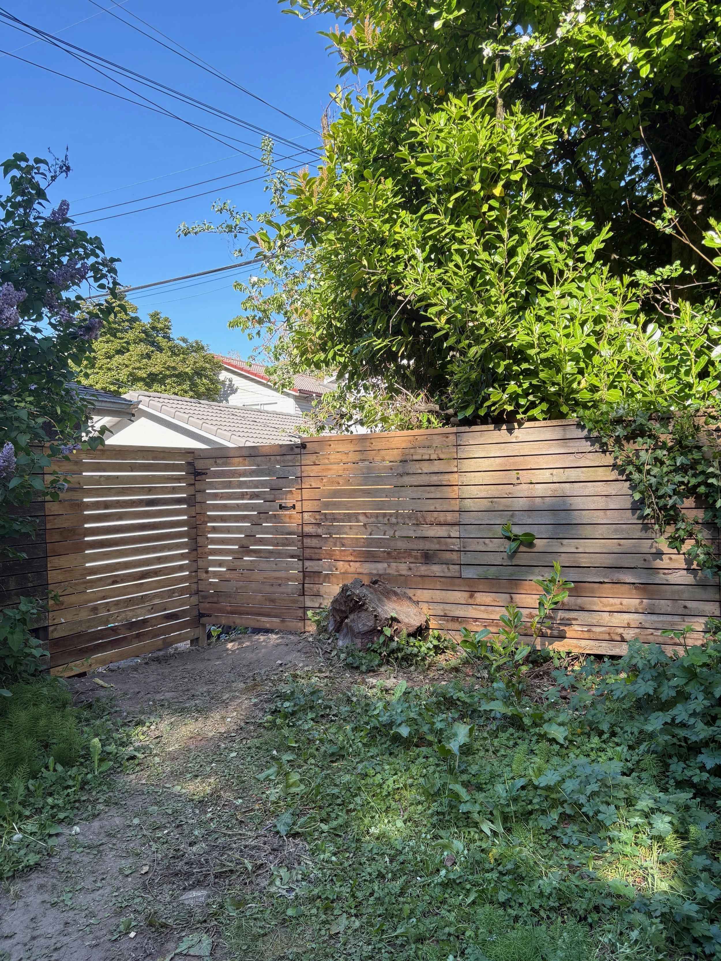 cedar custom fence
