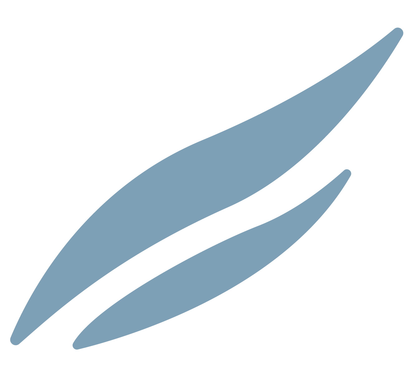 A stylized abstract design with three elongated blue-gray shapes resembling leaves or blades, arranged diagonally.