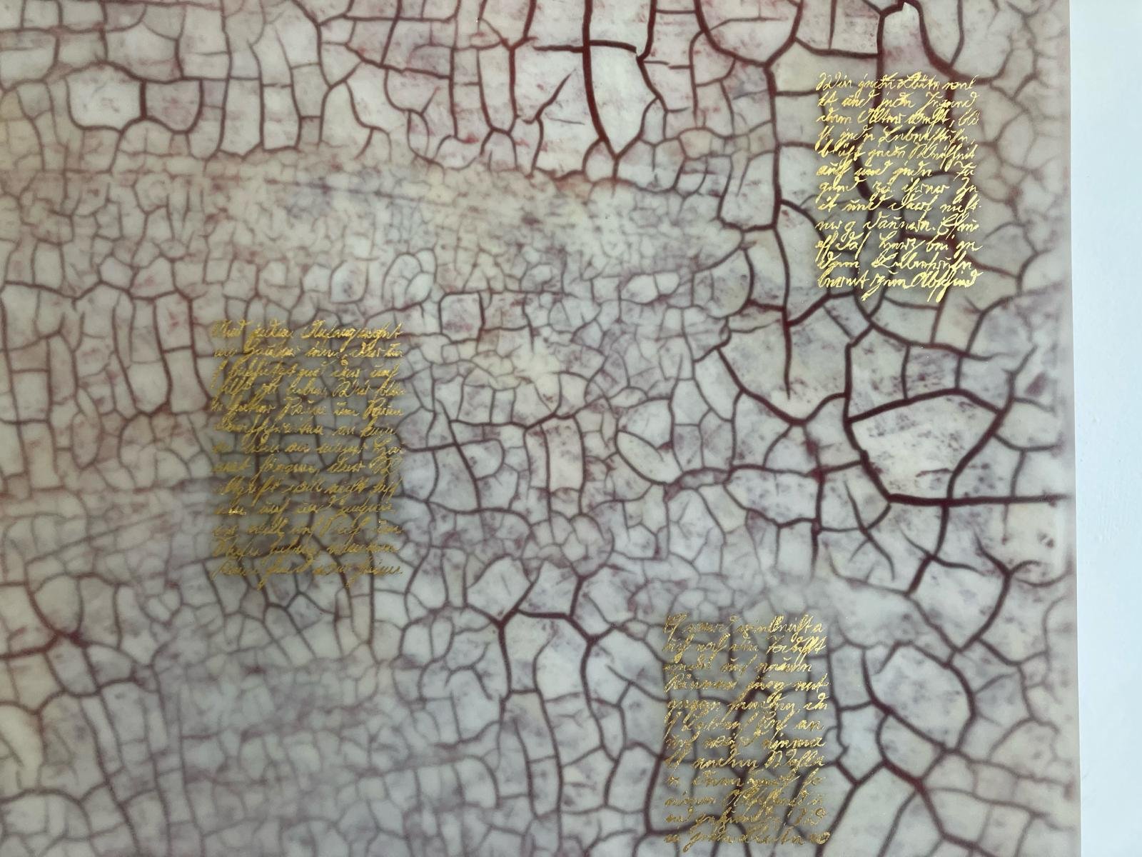 WhatsApp Image 2026-04-30 at 15.58.36.jpeg