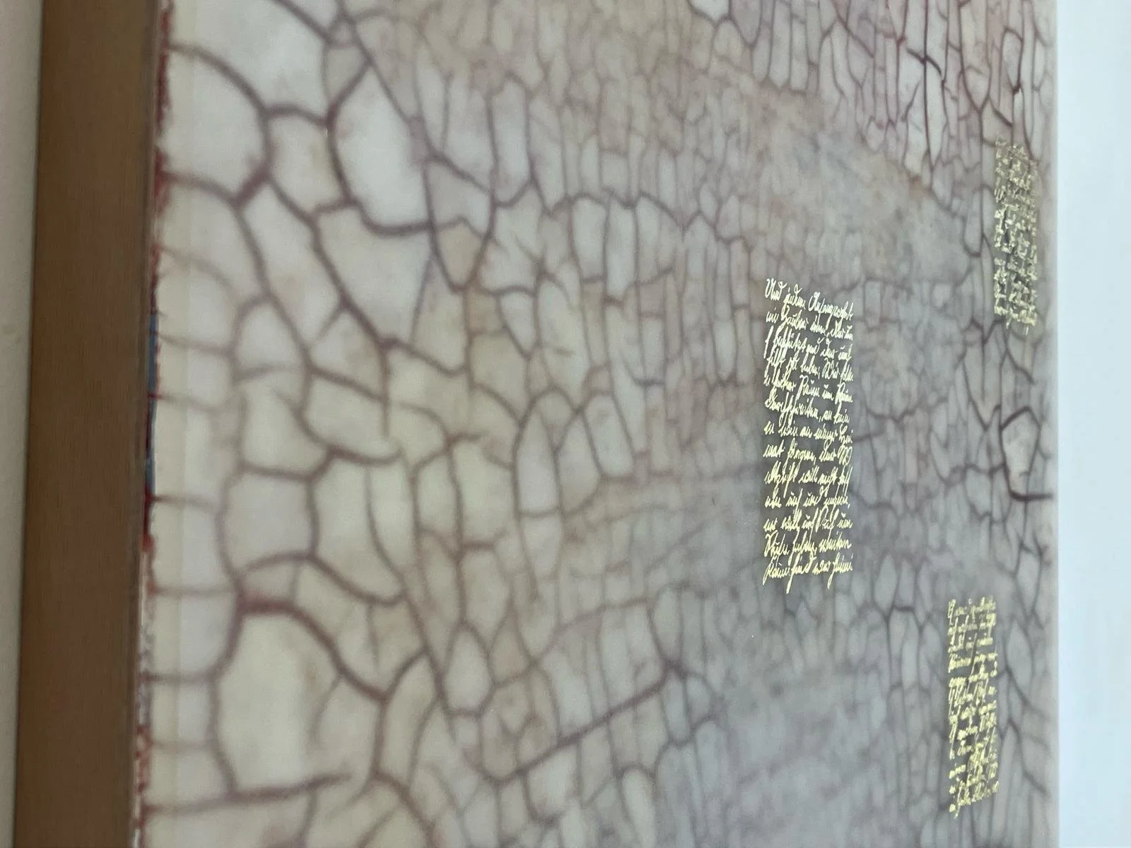 WhatsApp Image 2026-04-30 at 15.58.39.jpeg