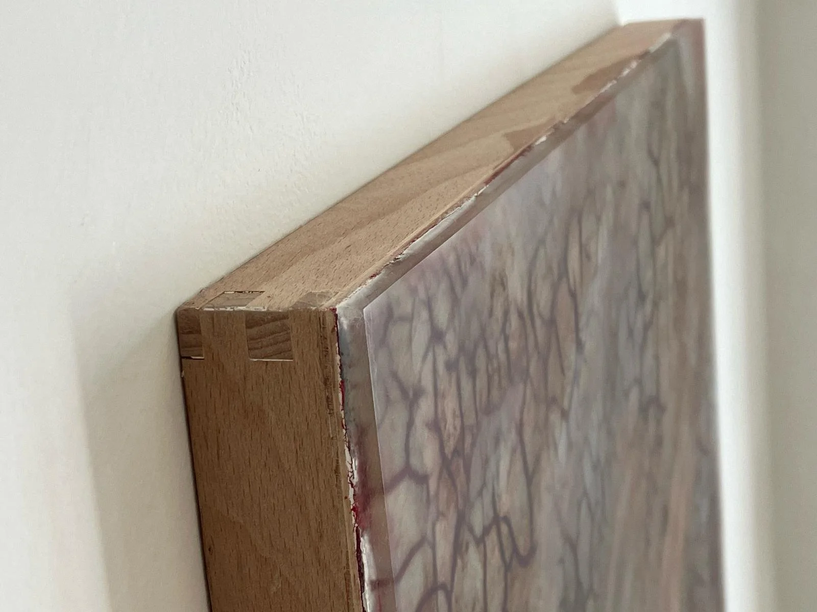 WhatsApp Image 2026-04-30 at 15.58.53.jpeg