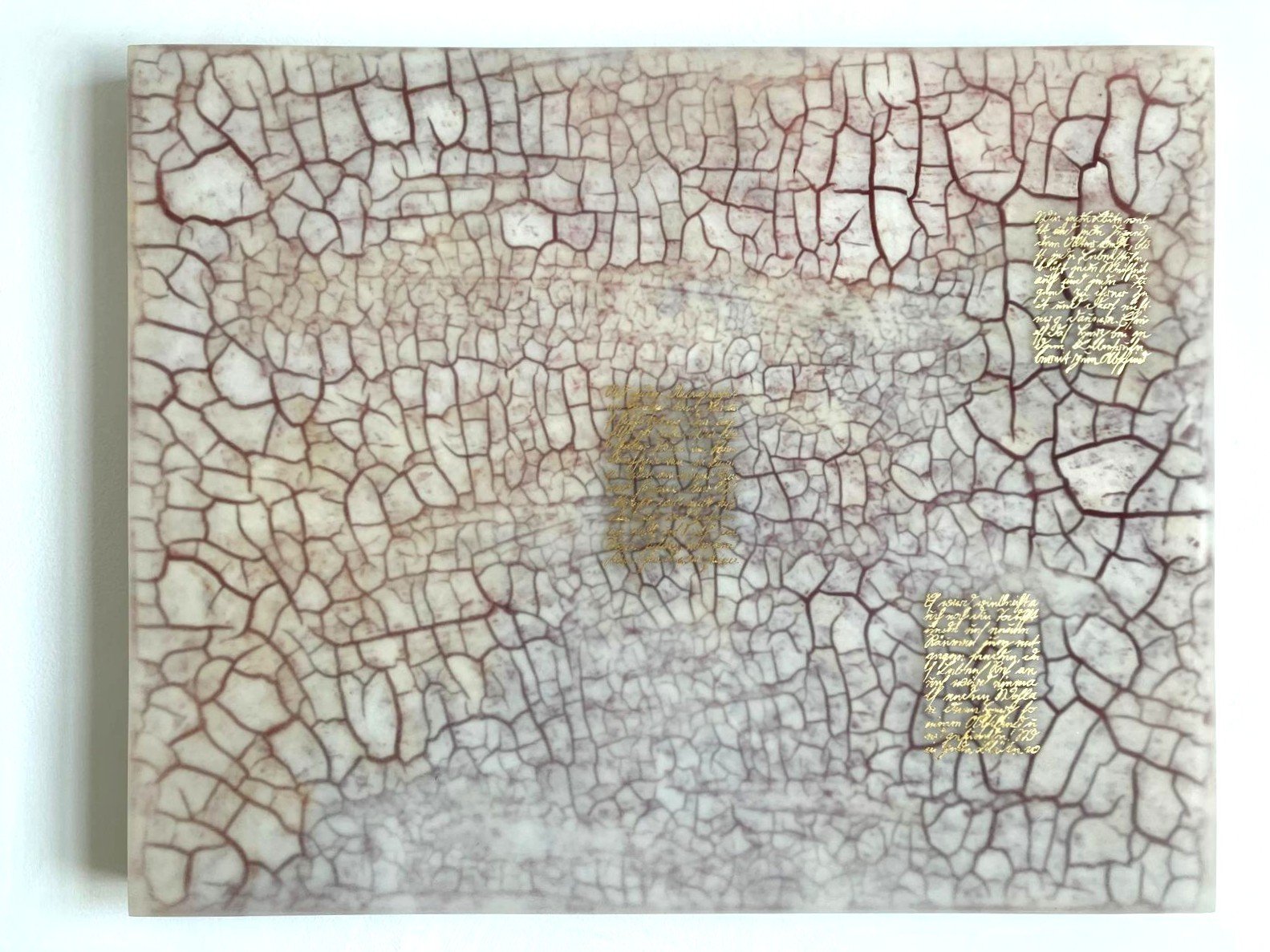 WhatsApp Image 2026-04-29 at 18.03.56l.jpeg