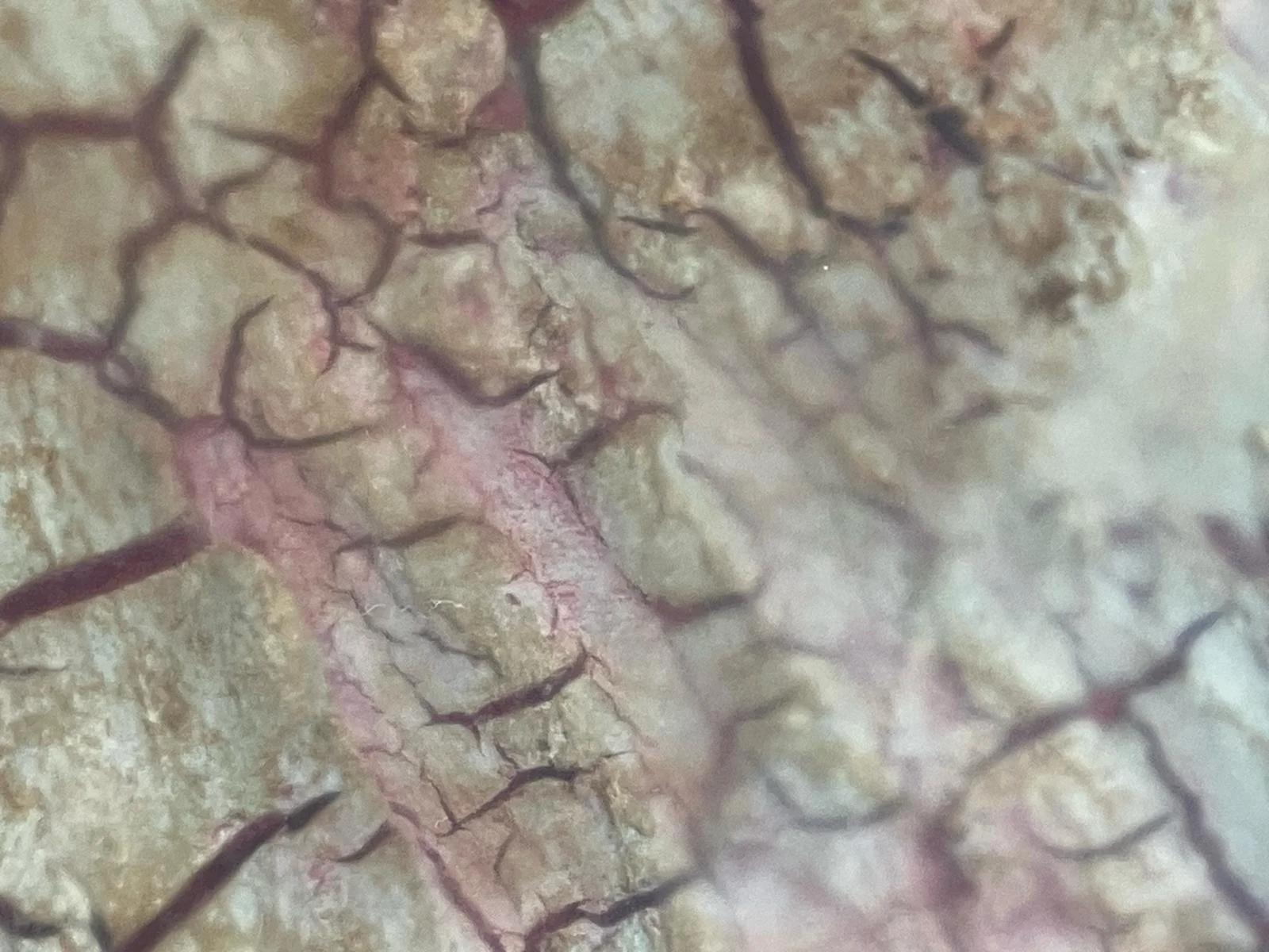 WhatsApp Image 2026-04-30 at 15.58.54 (1).jpeg