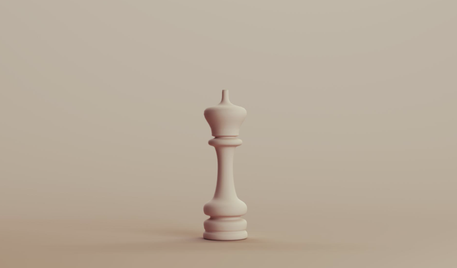 Payment Strategy &amp; Leadership