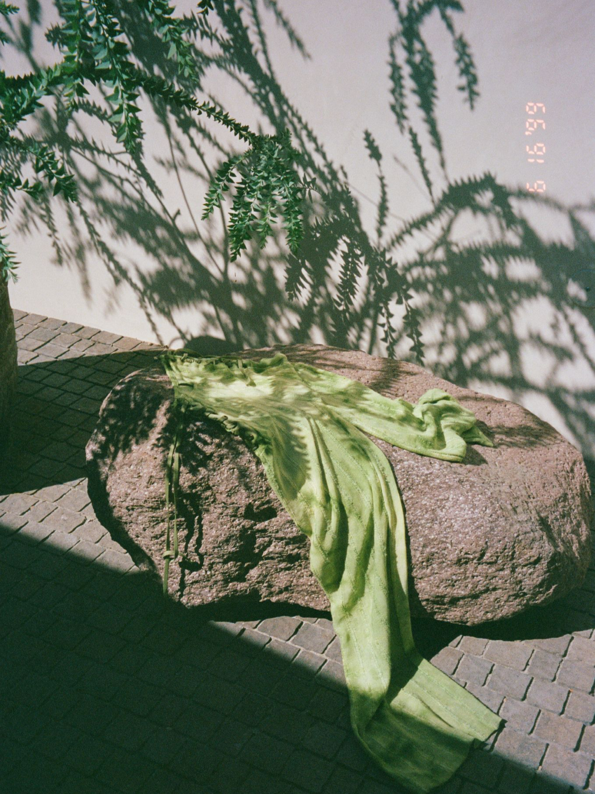 IMG_0496.png