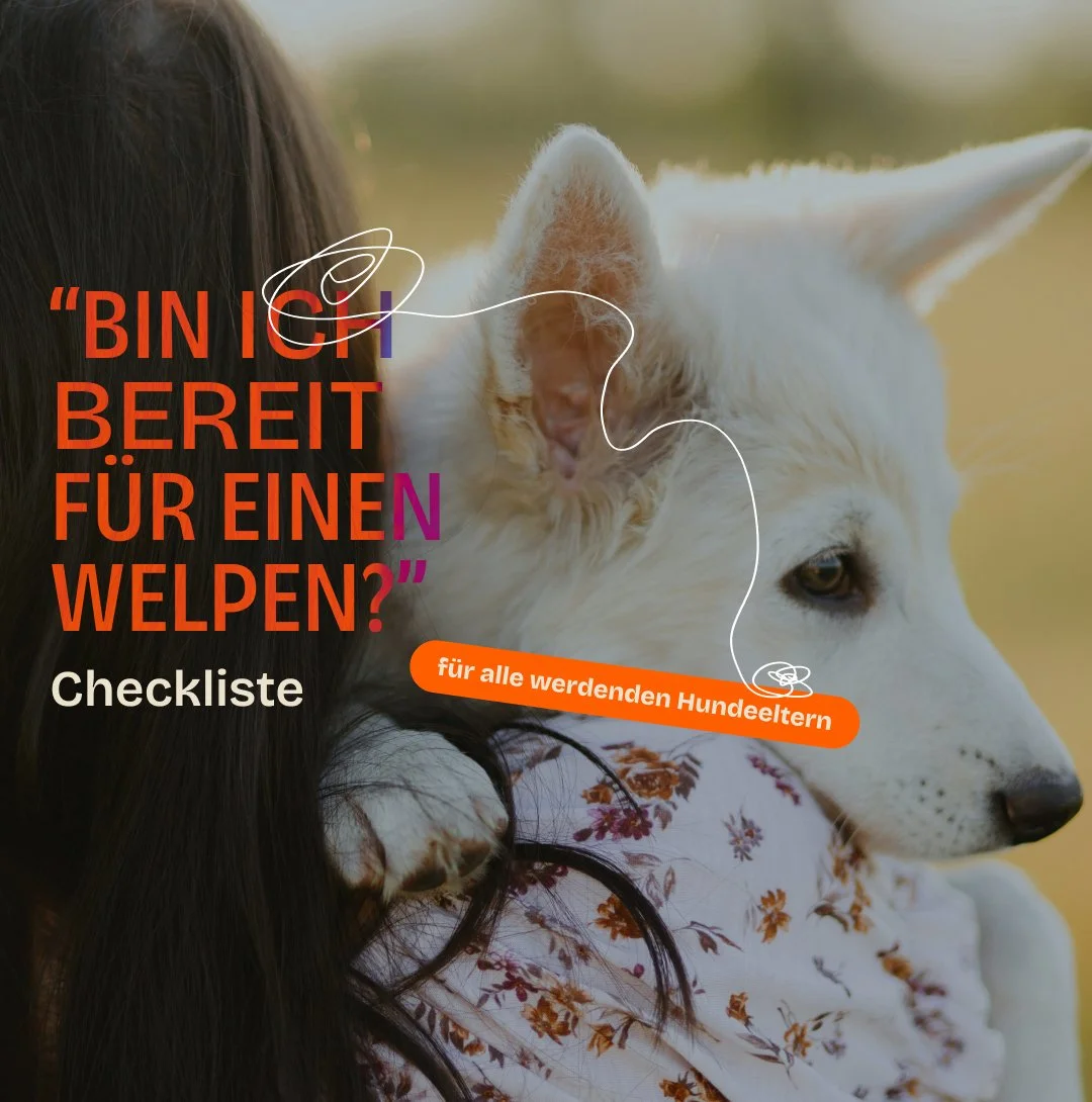 Checkliste - Bin ich bereit für einen Welpen?
