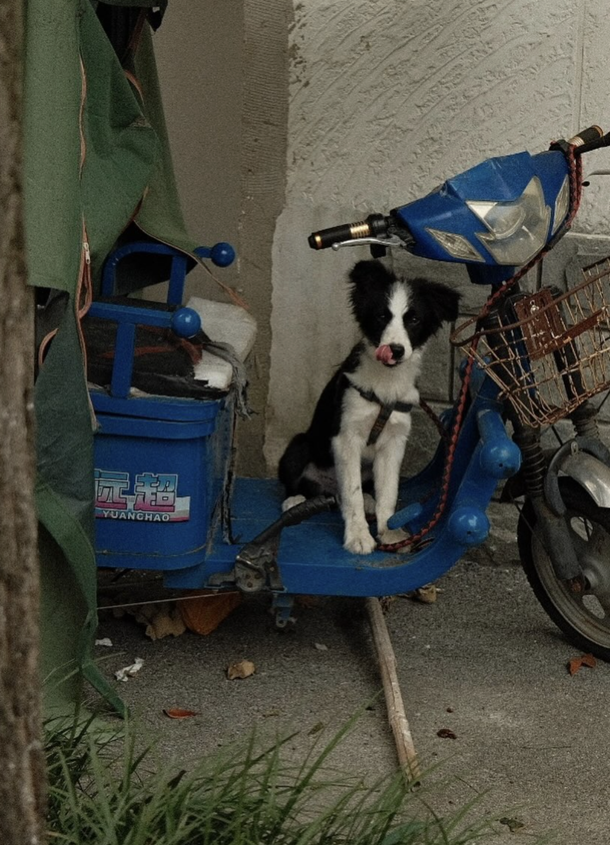 Screenshot 2026-02-11 at 18.24.28.png