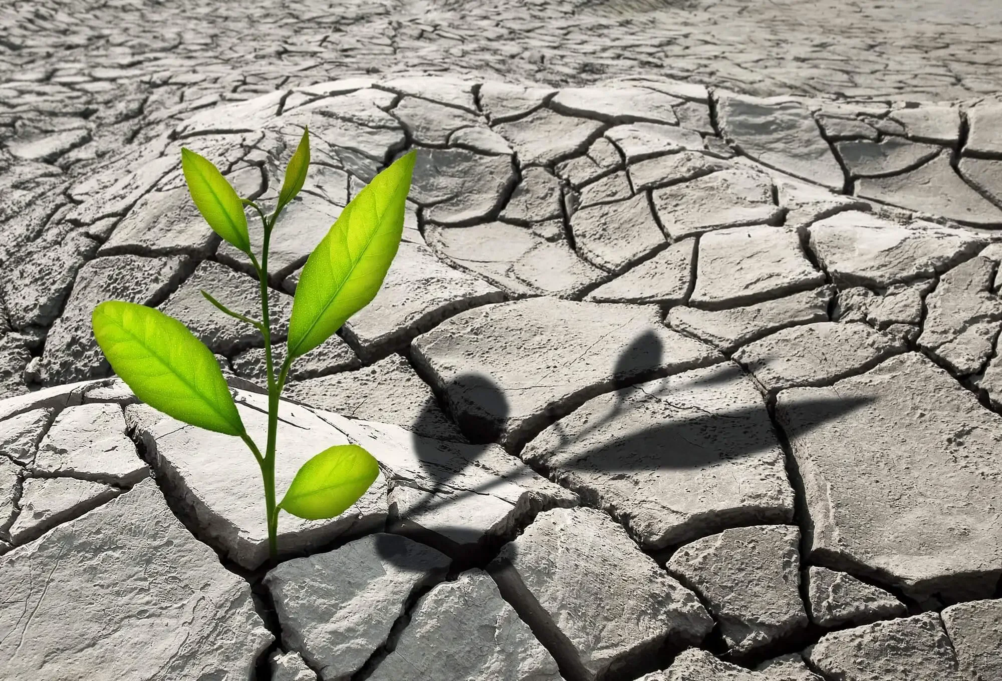 Has your business continuity plan (BCP) kept up with your digital transformation?