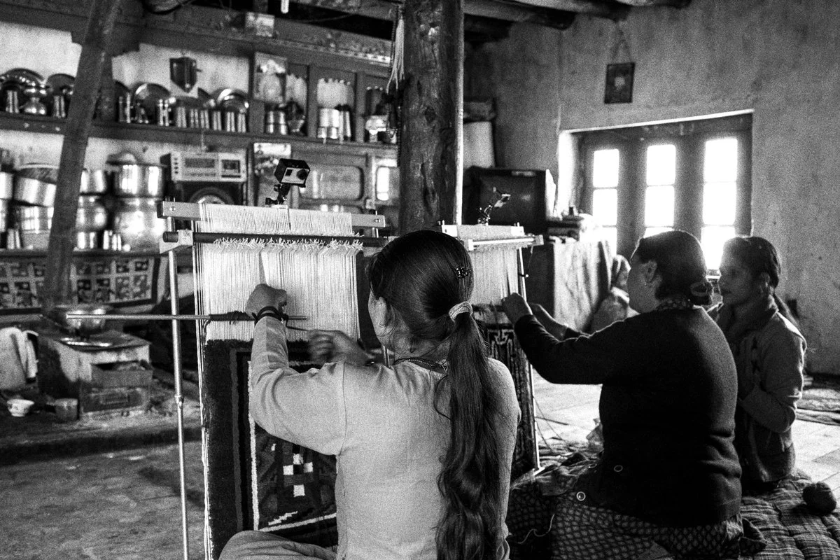 Loomy - Production Deep Materiology - Emmanuel Ducourneau - Art Across Frontiers, Wild-Tech Schoolab, PEPR O2R - 2014-en cours