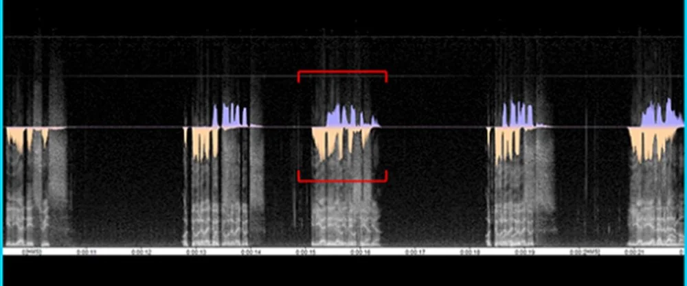 La langue, matière à machines - Pierre Thévenin, Emmanuel Ducourneau et Anthony Stavrianakis