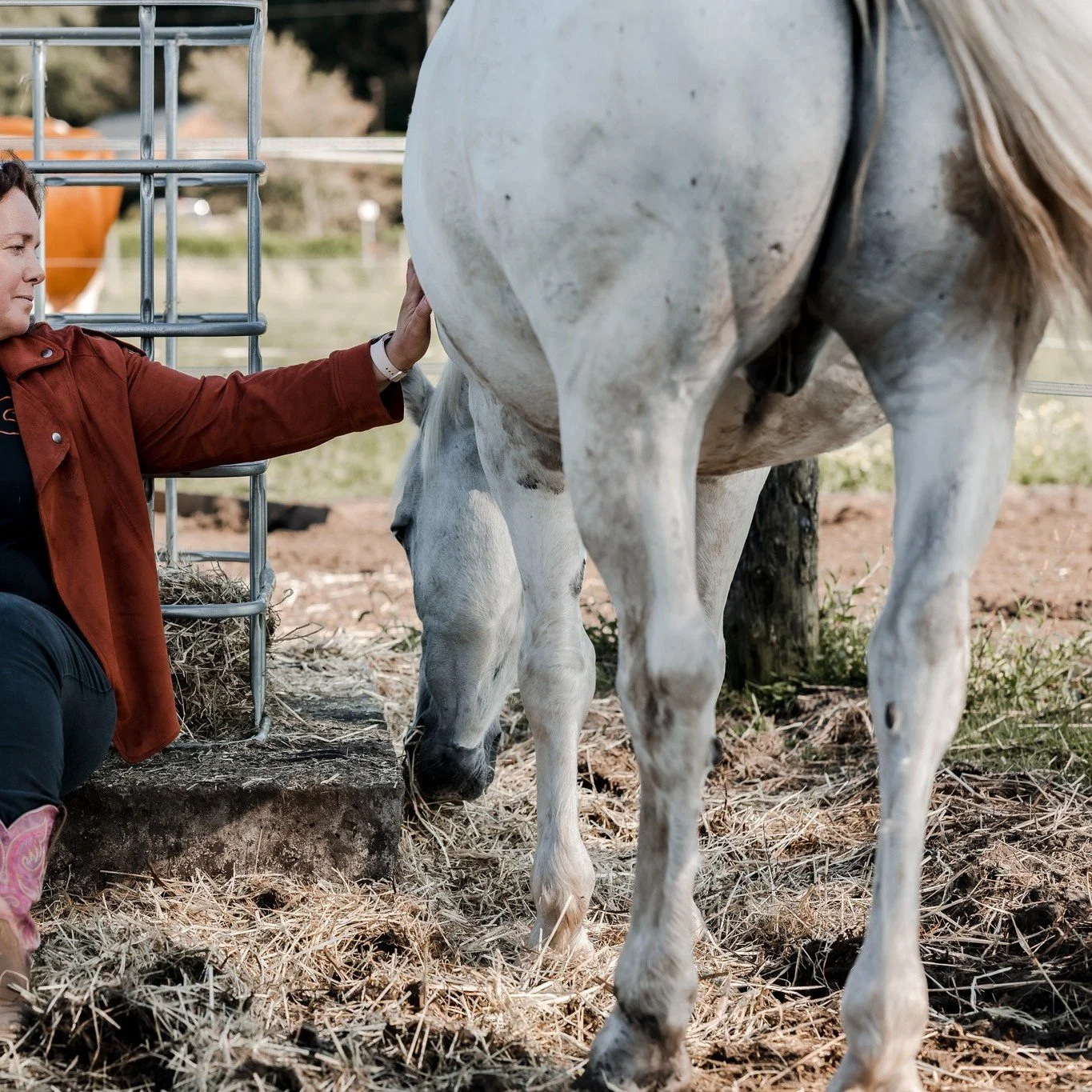 (Verdriet/pijn) uit de schaduw