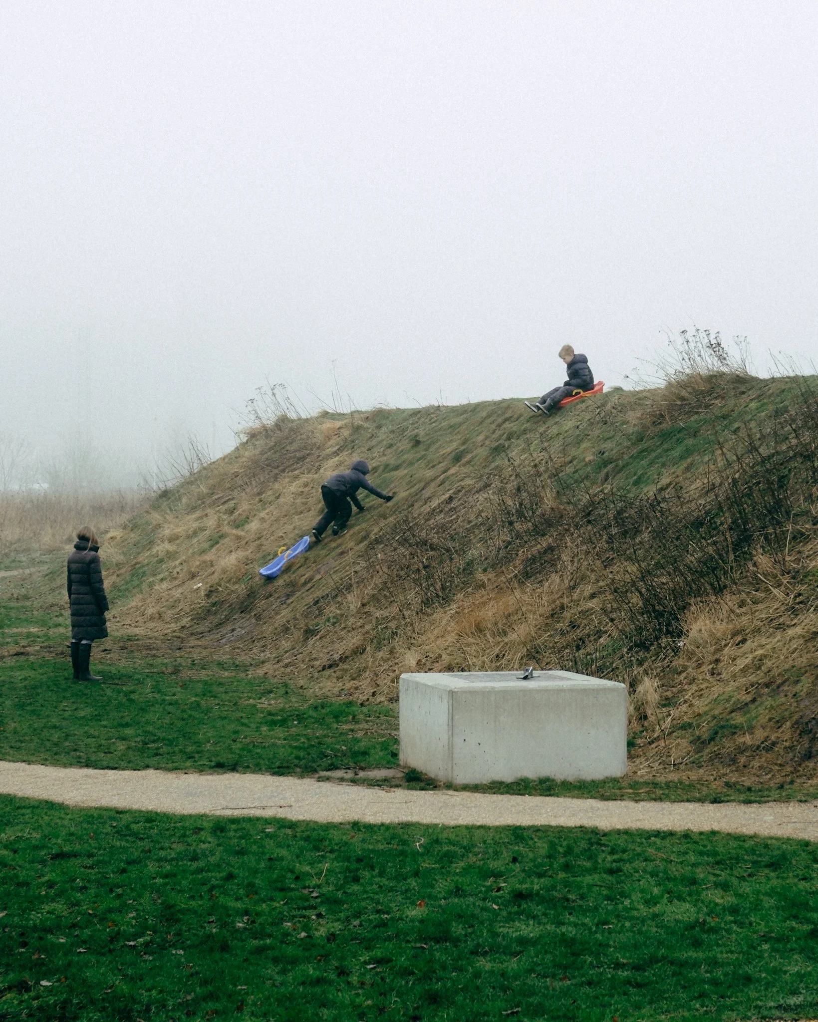 Three children playing on a grassy hill with one child sitting on a red sled, another climbing up with a blue sled, and the third watching, in overcast weather.