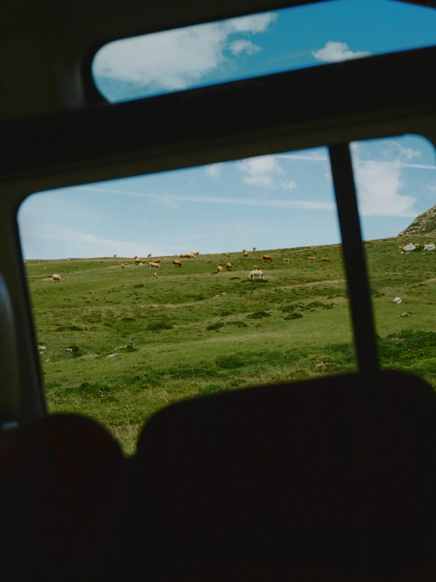 06.jpg.webp