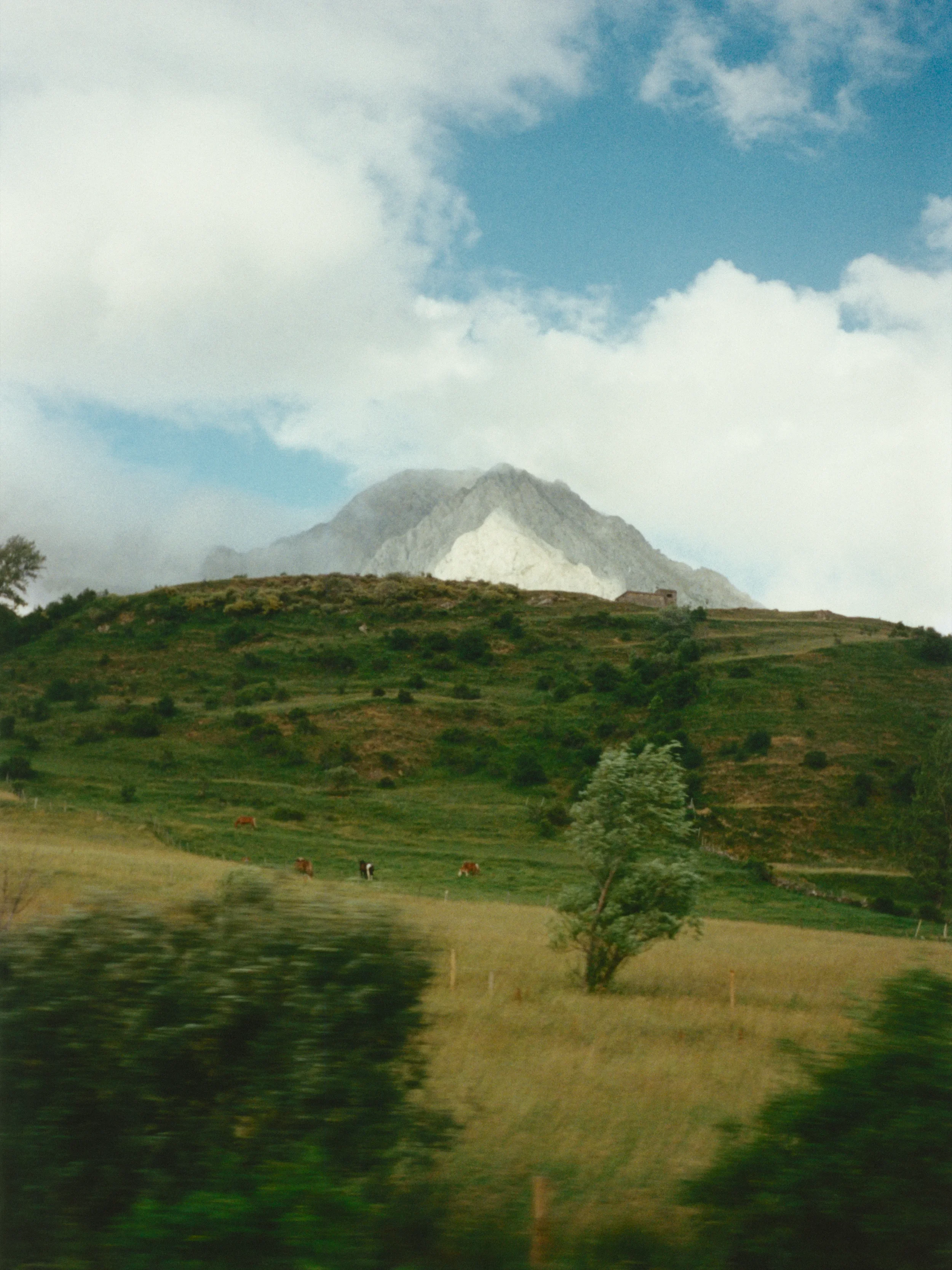 23.jpg.webp