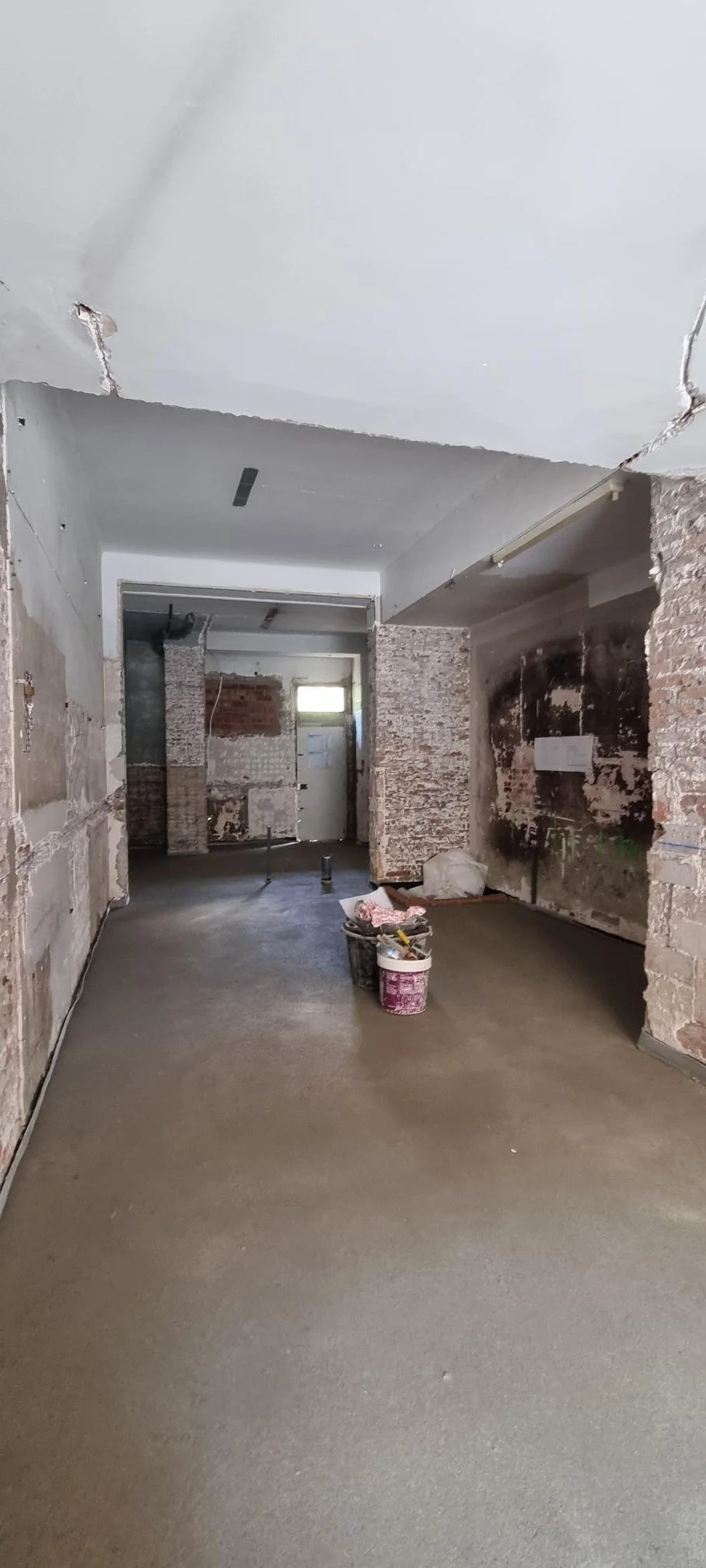Cassa de la selva local 2 (2).jpg