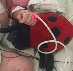 Close-up of Shyna's hand holding a medical tube, with a red ladybug nearby while in hospital