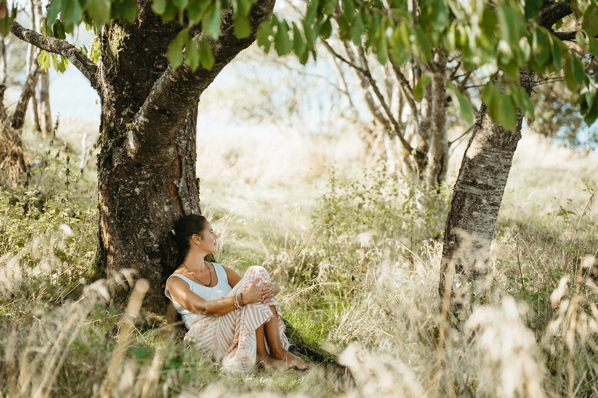 A woman sitting with her back leaning against a tree in a grassy field, looking peacefully into the distance on a sunny day.