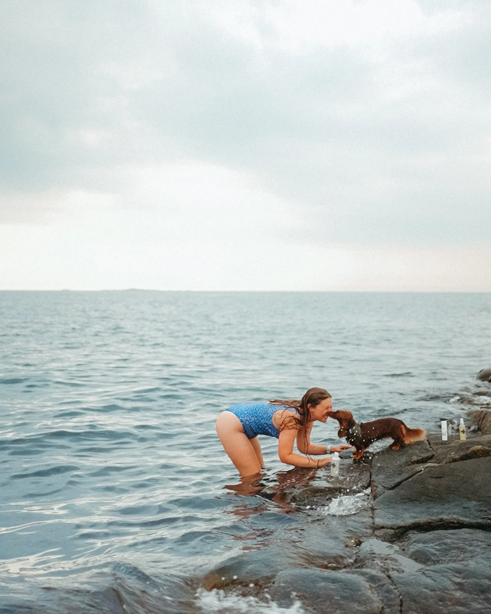 A woman in a blue swimsuit playing with a brown dog on rocks by the water at the beach.