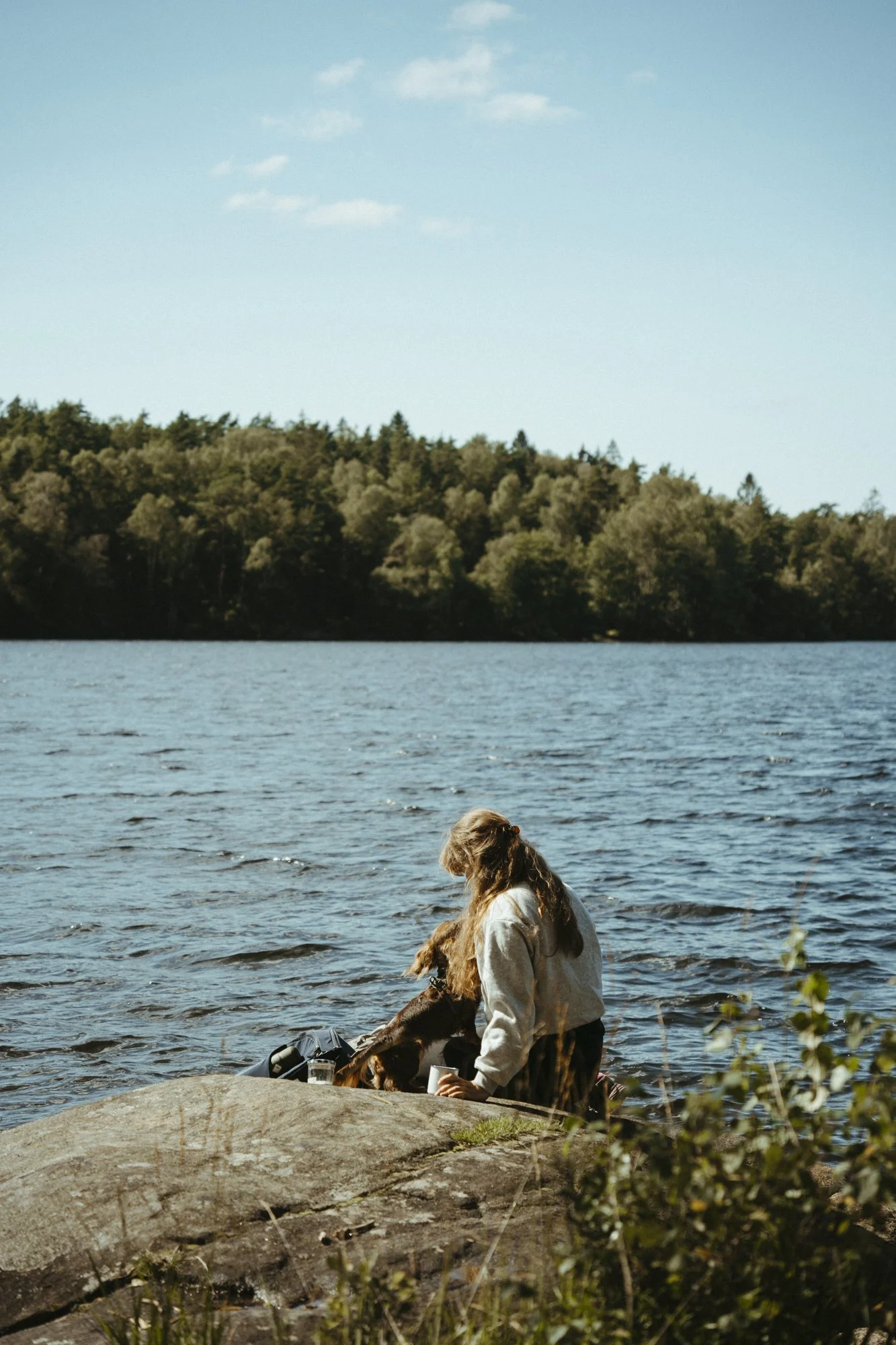 A woman with long hair sitting on a rock by a lake with two dogs, surrounded by nature and trees in the background under a partly cloudy sky.