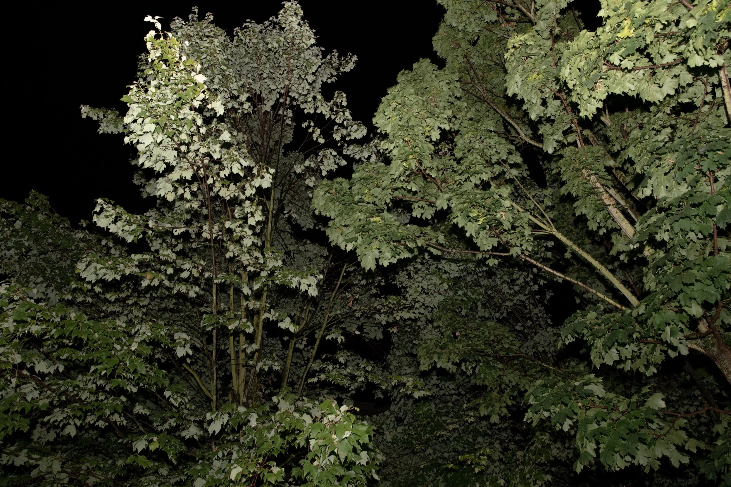 svatební fotografie olomouc long story short_106.JPG