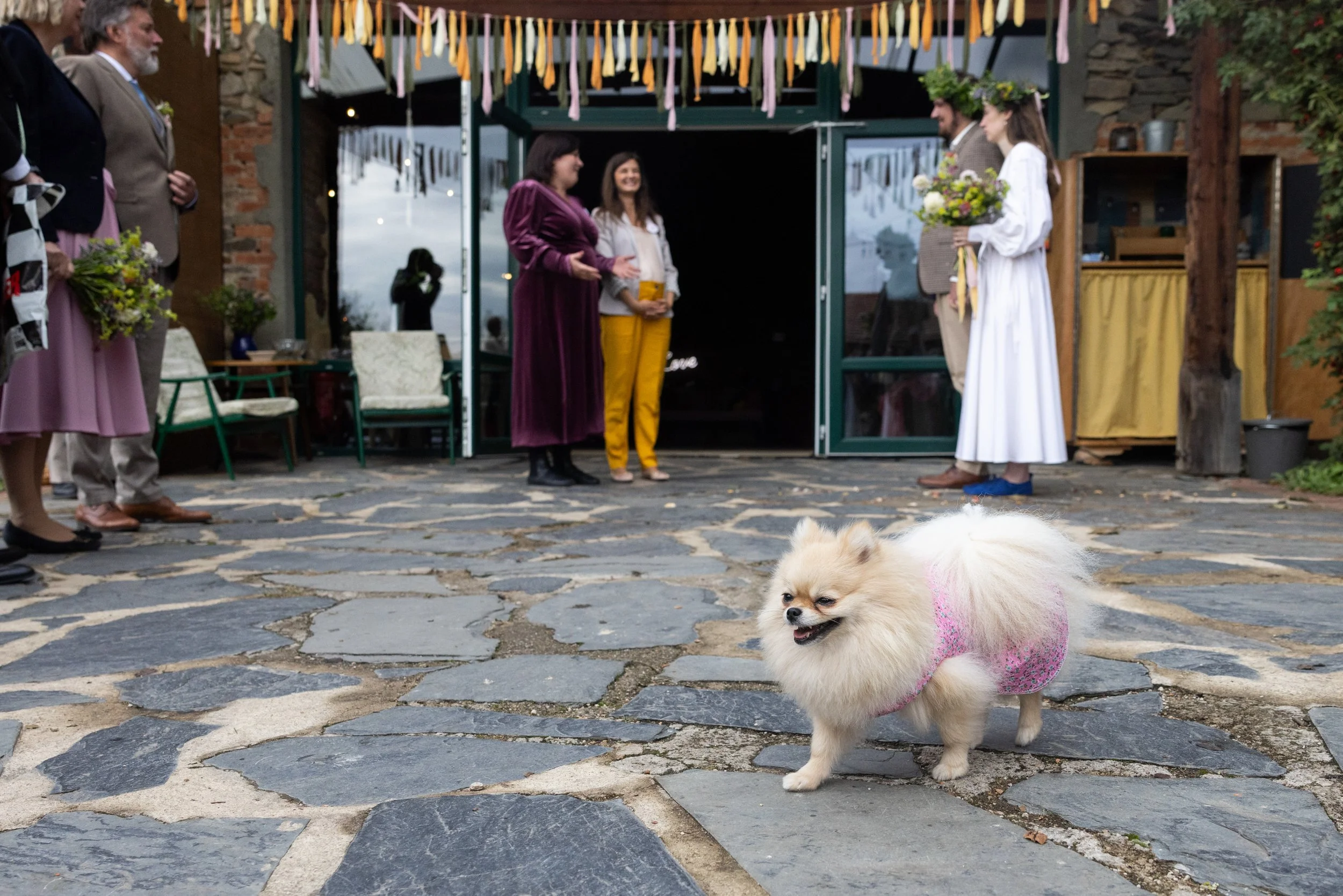 svatebni fotografie veselkovna olomouc_040.jpg