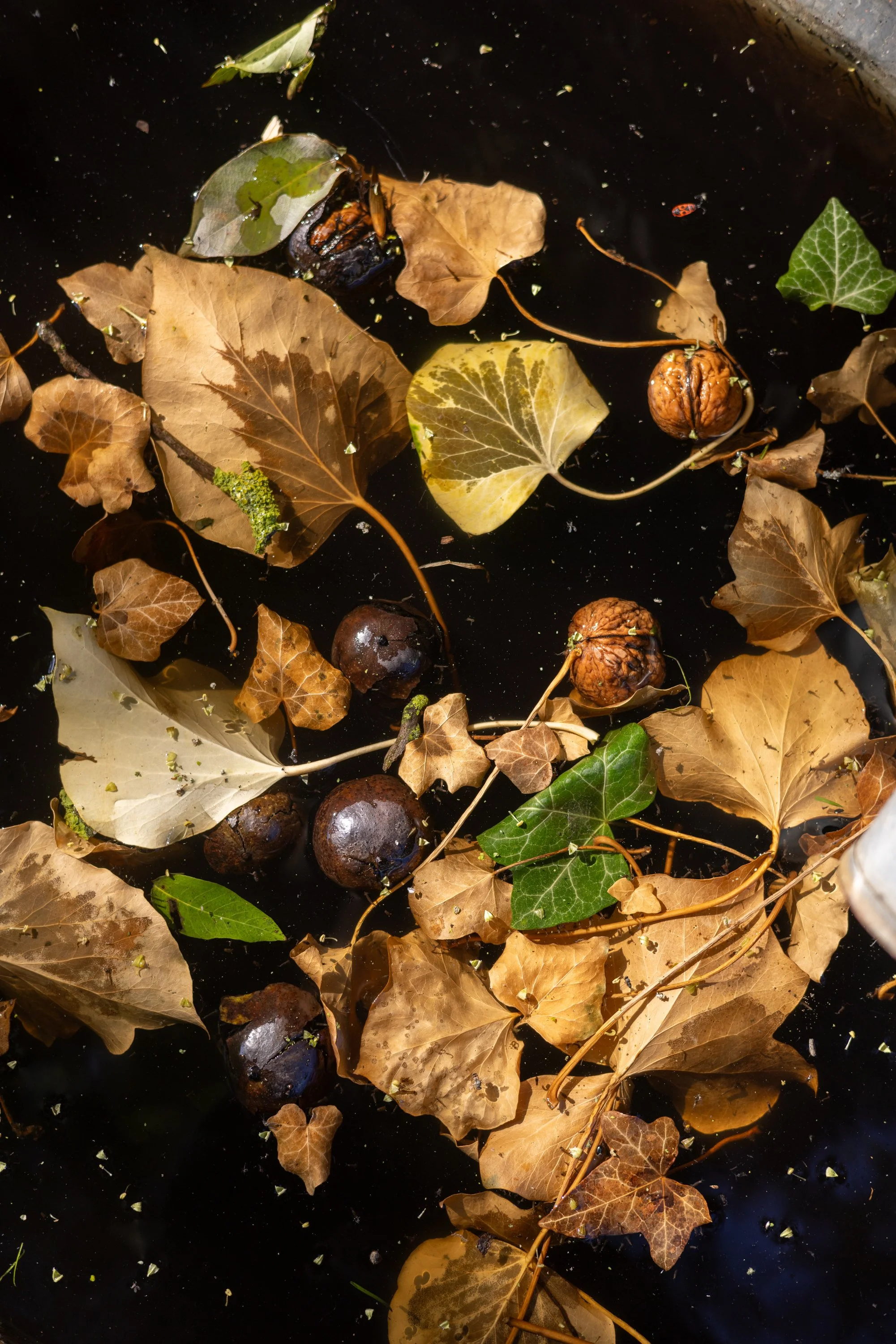 svatebni fotografie veselkovna olomouc_056.jpg