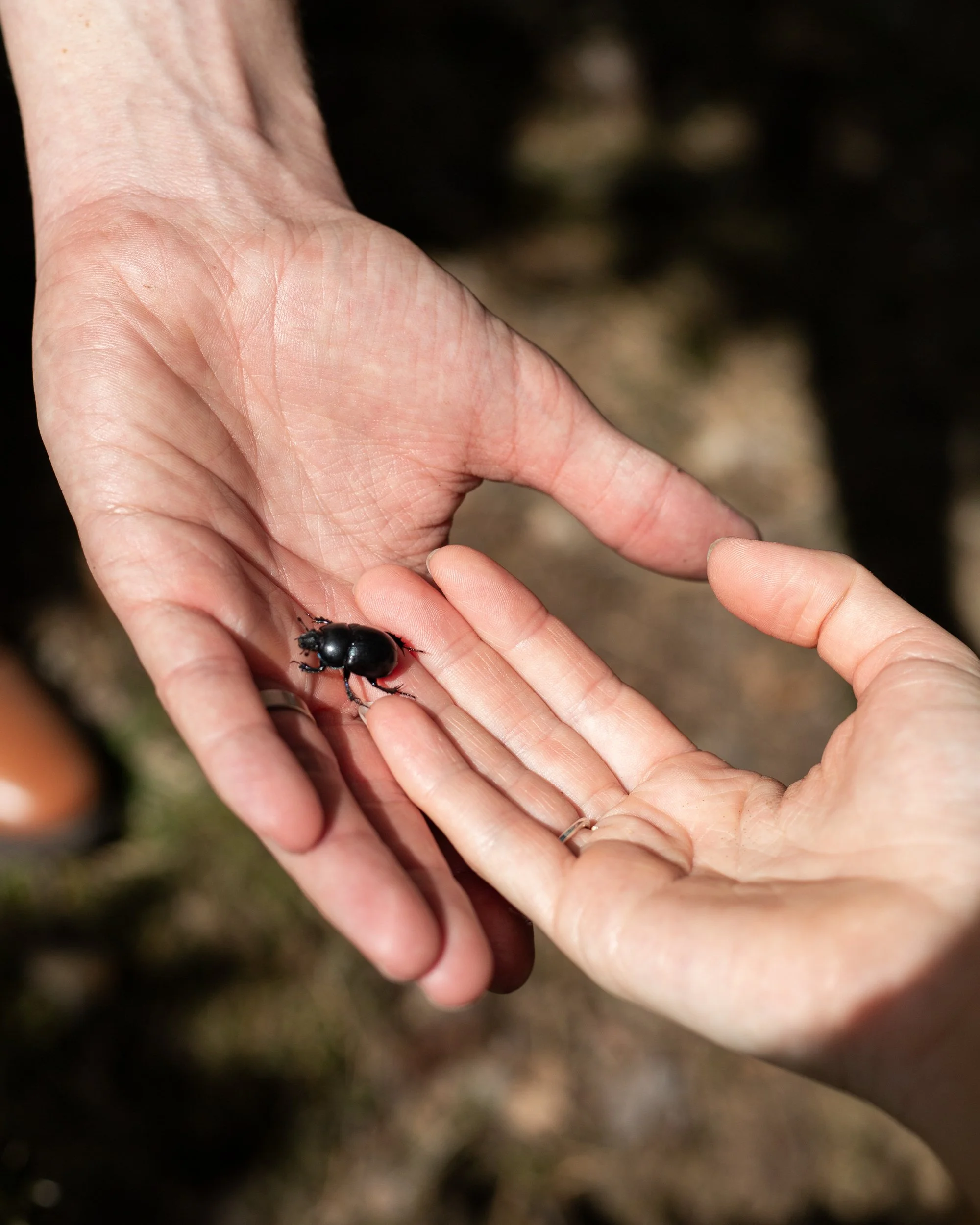 svatební fotografka olomouc_095.JPG