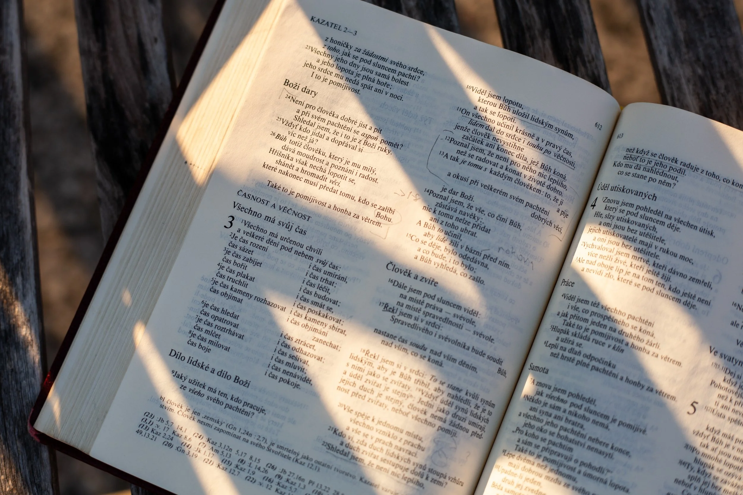 svatební fotografka olomouc_052.JPG