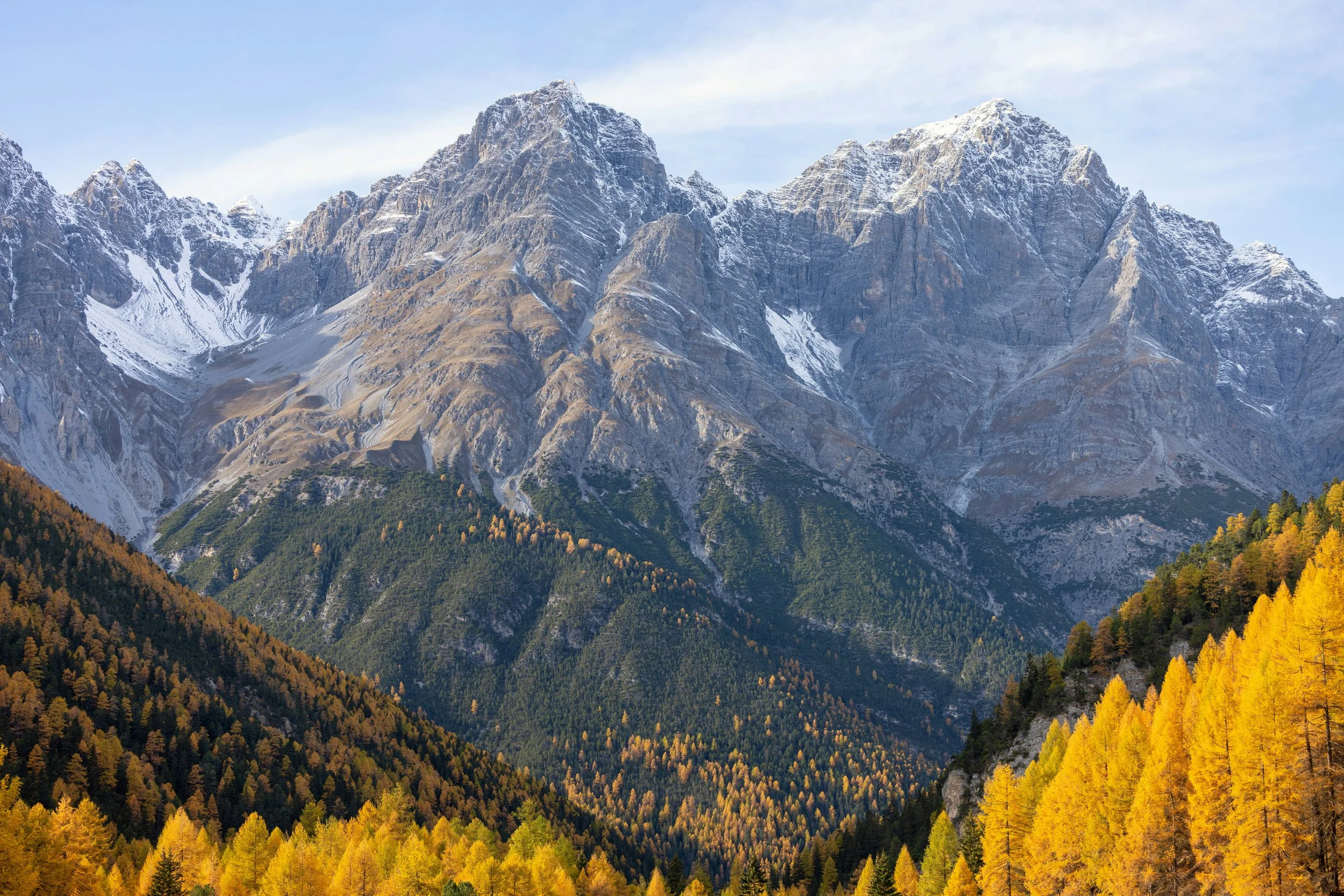 Snow-capped mountains behind a forest with autumn-colored trees in the foreground.