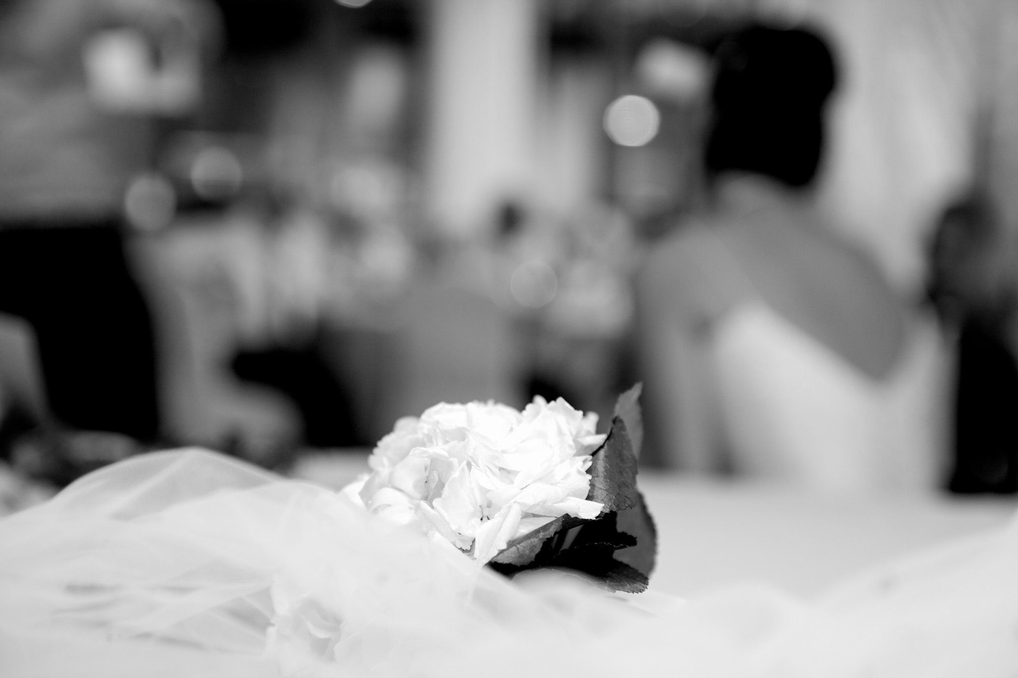 Close-up of a white flower with a dark leaf on a blurred background of people at a gathering or event in black and white.