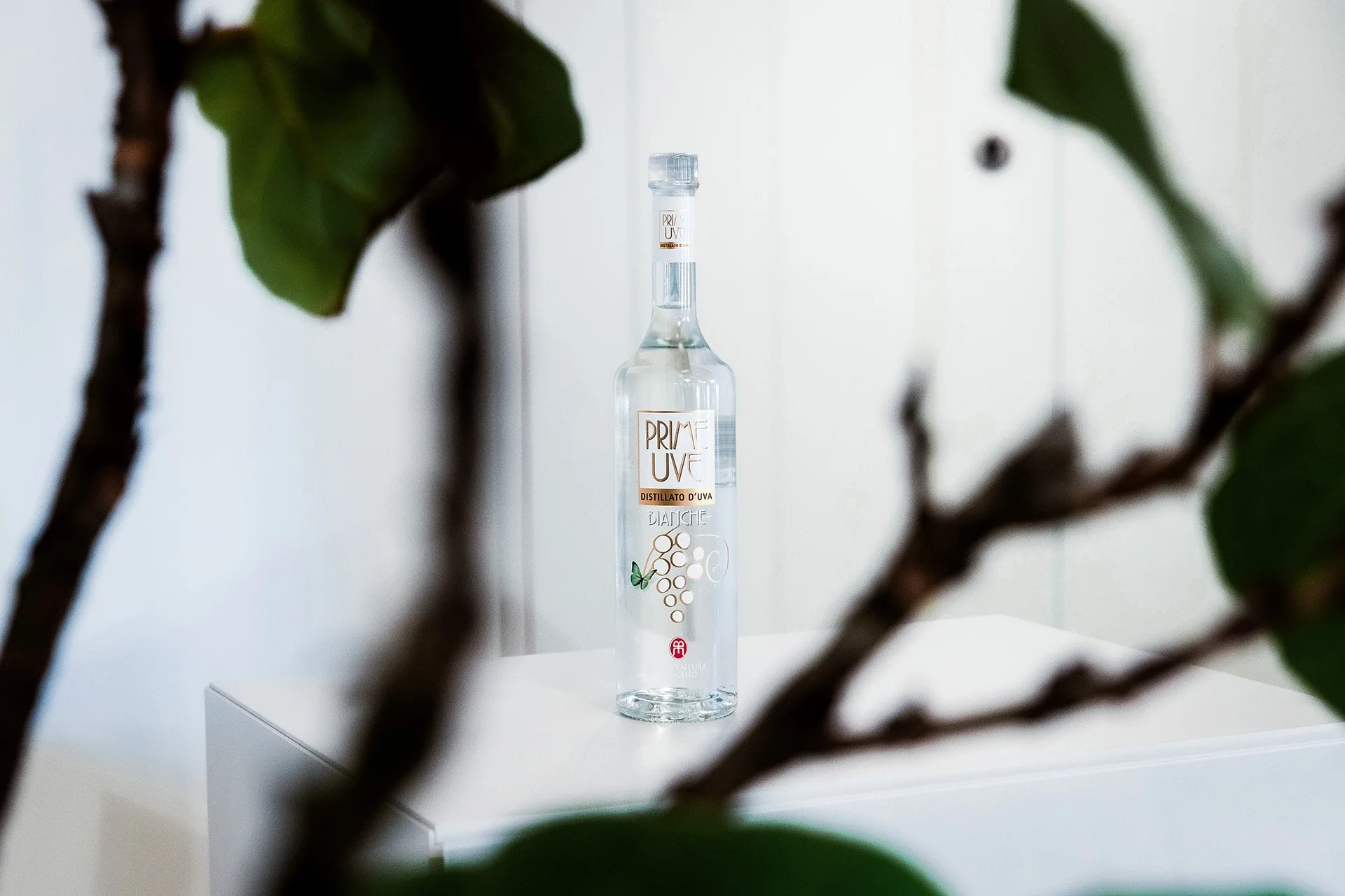 A clear glass bottle labeled 'Prime Uve', containing a transparent liquid, is placed on a white surface, with green leaves and branches partially framing the foreground.