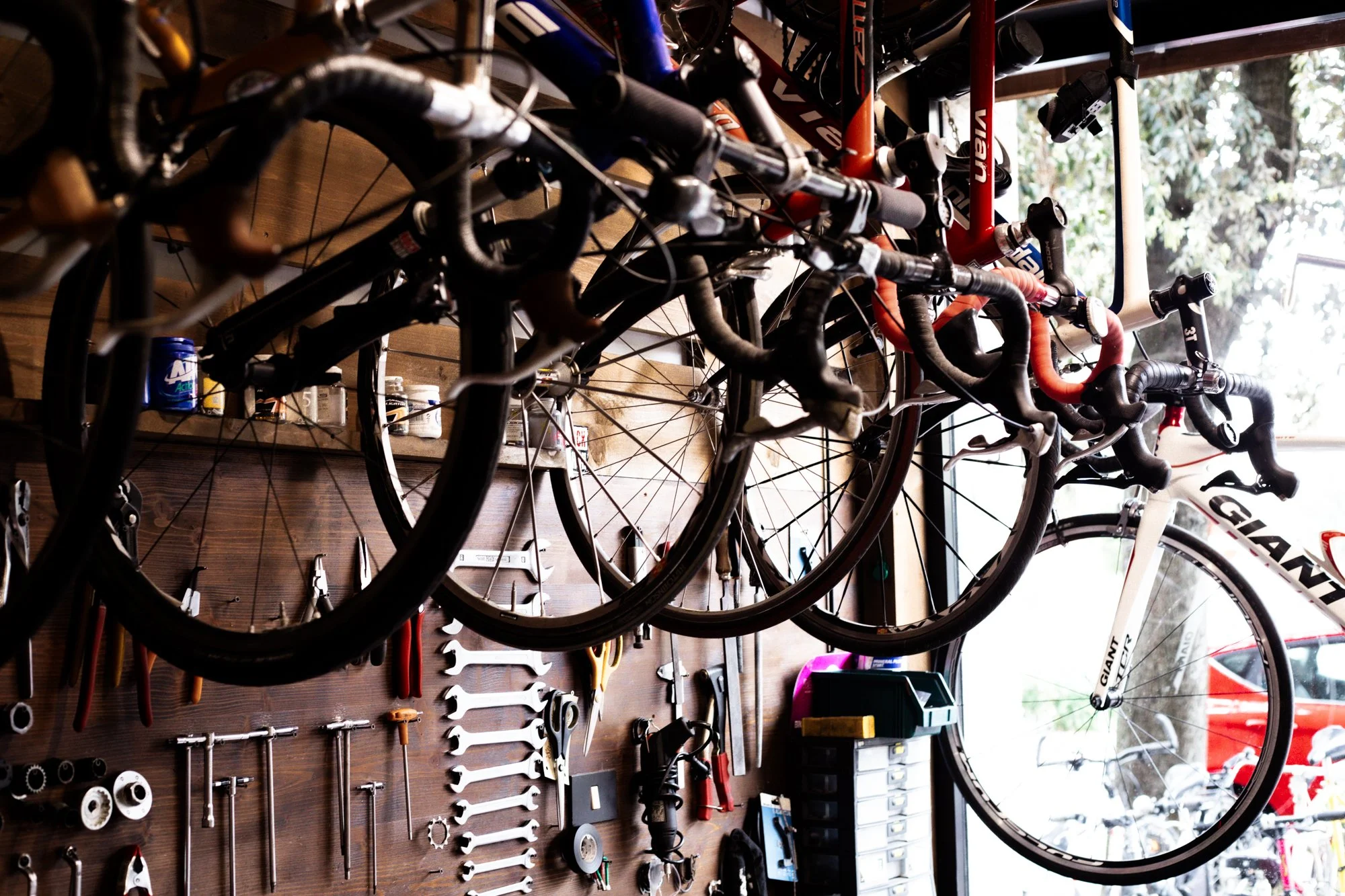 _O2A3509.jpg