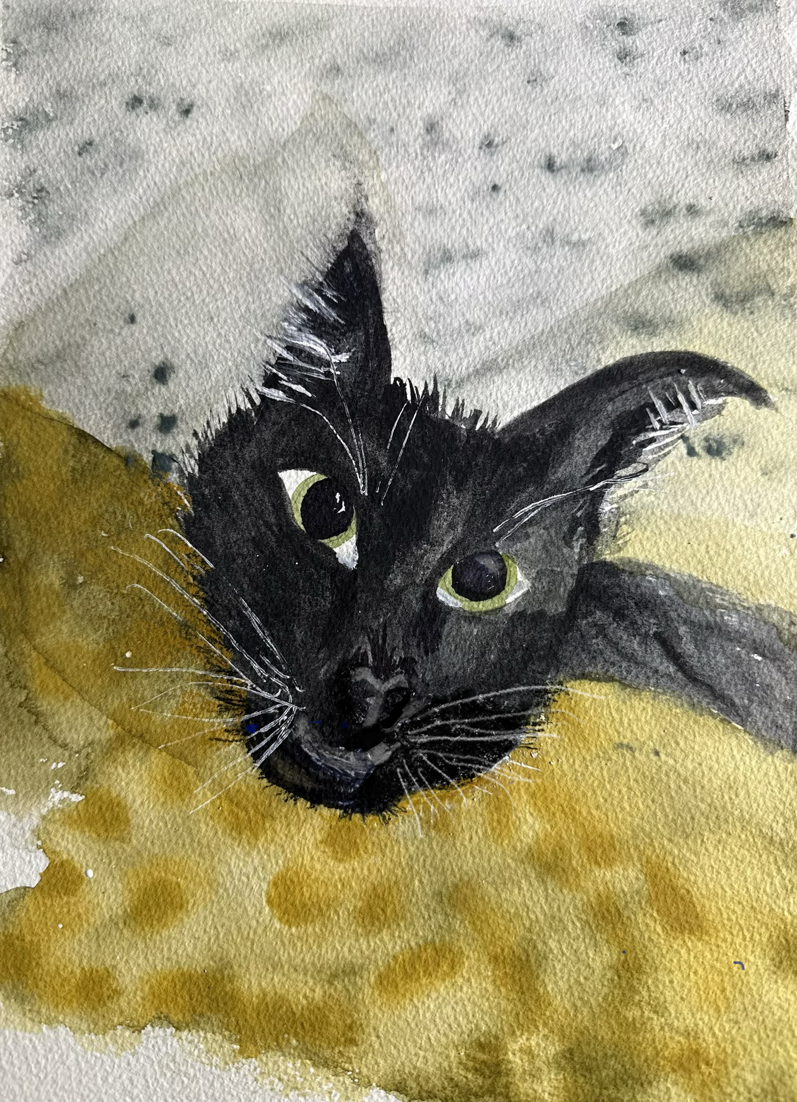 Black Cat watercolor
see Mugs