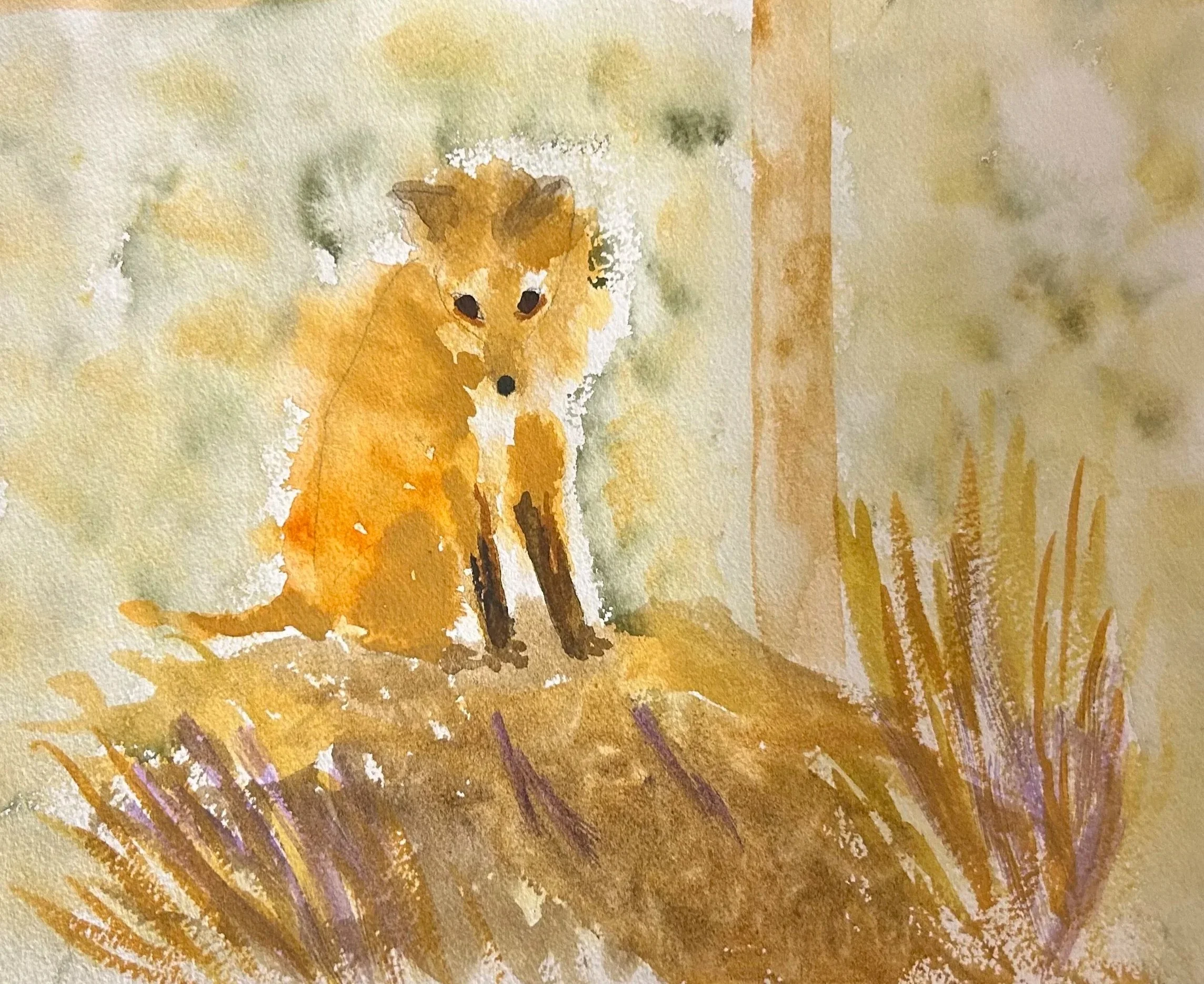 watercolor of red fox
