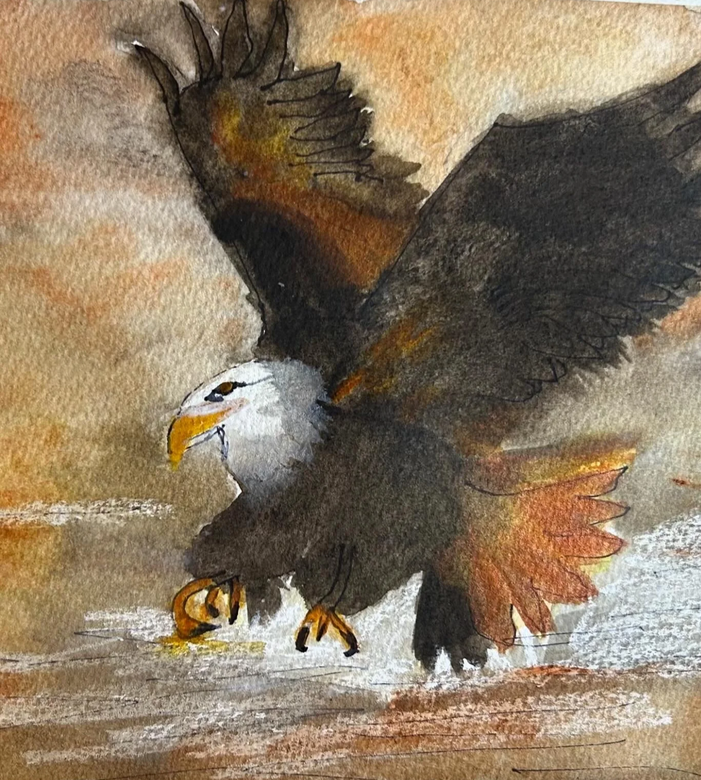 Bald Eagle Landing,  Watercolor
