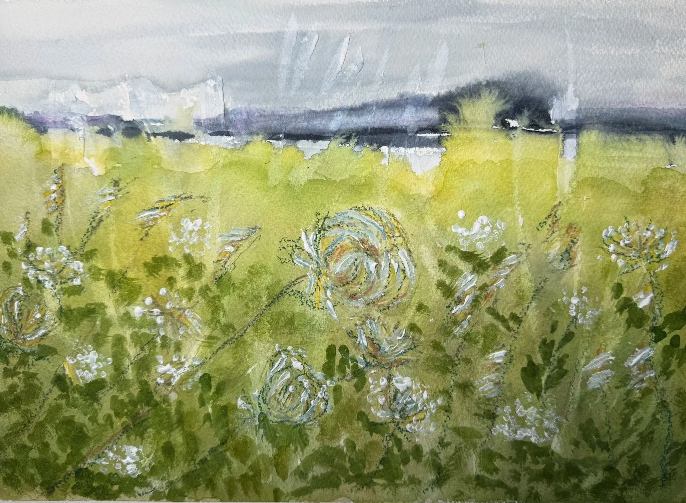 Field of Queen Ann's lace, watercolor and quache