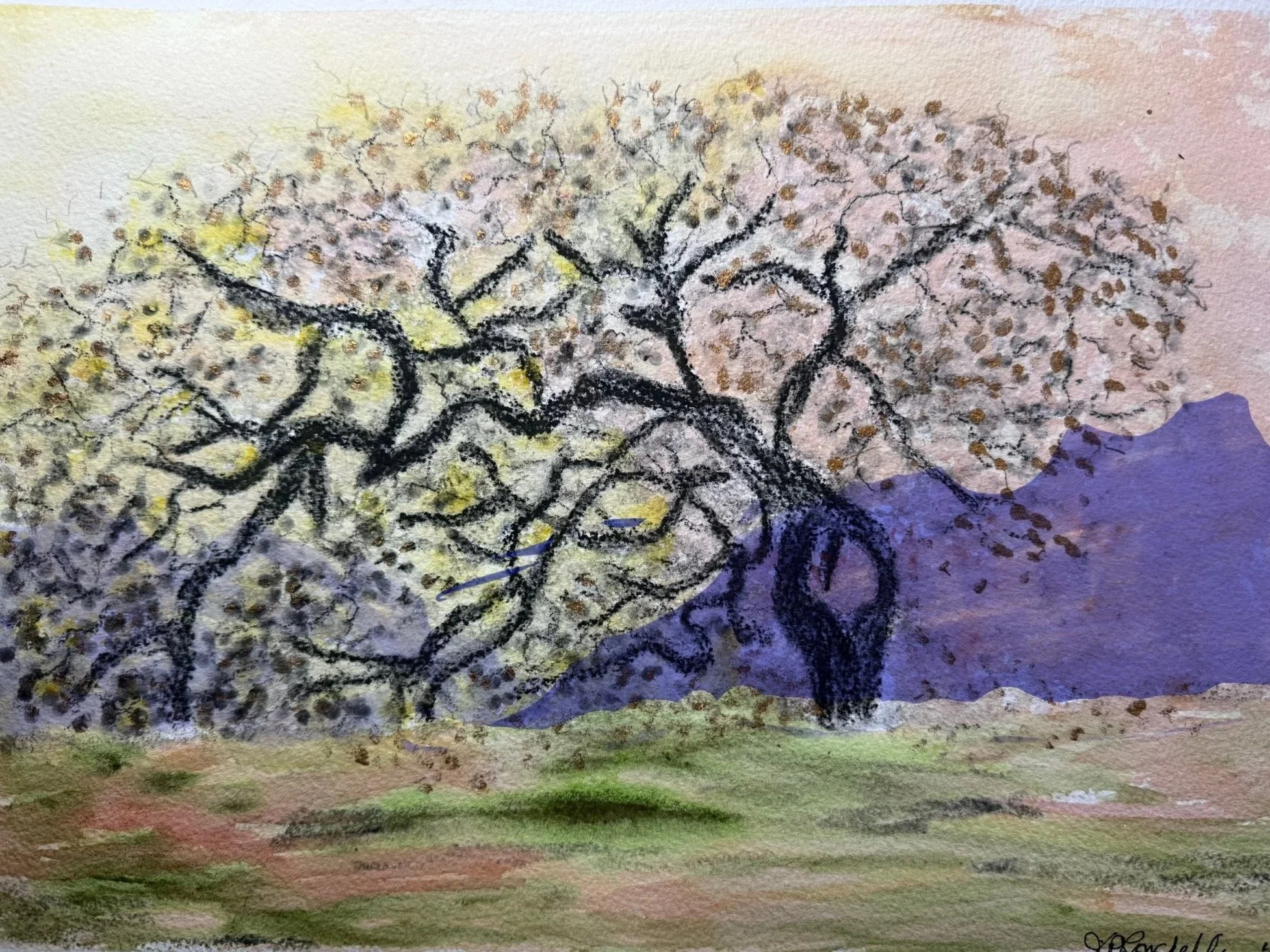 Ancient  Madame Oak,  California,  mixed media