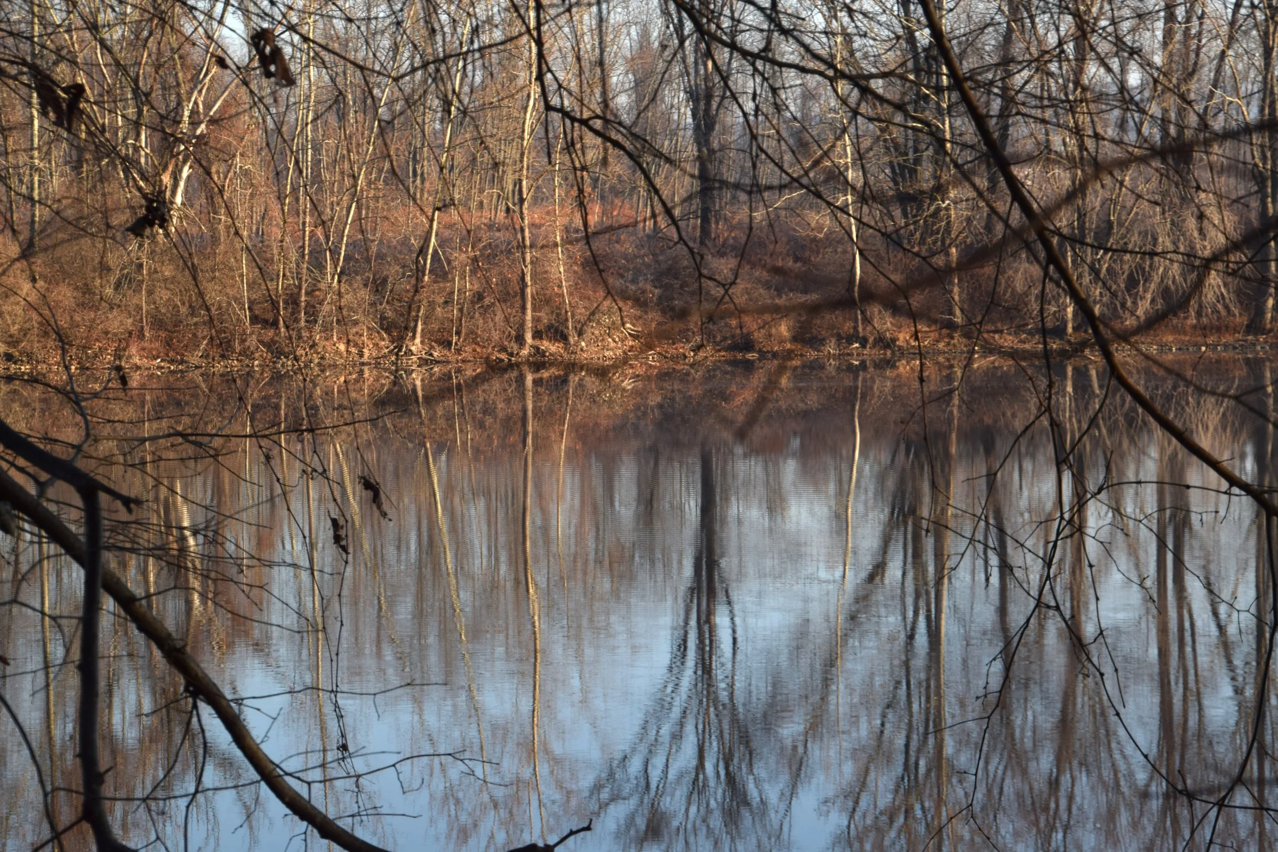 A moment's Pause,  Connecticut